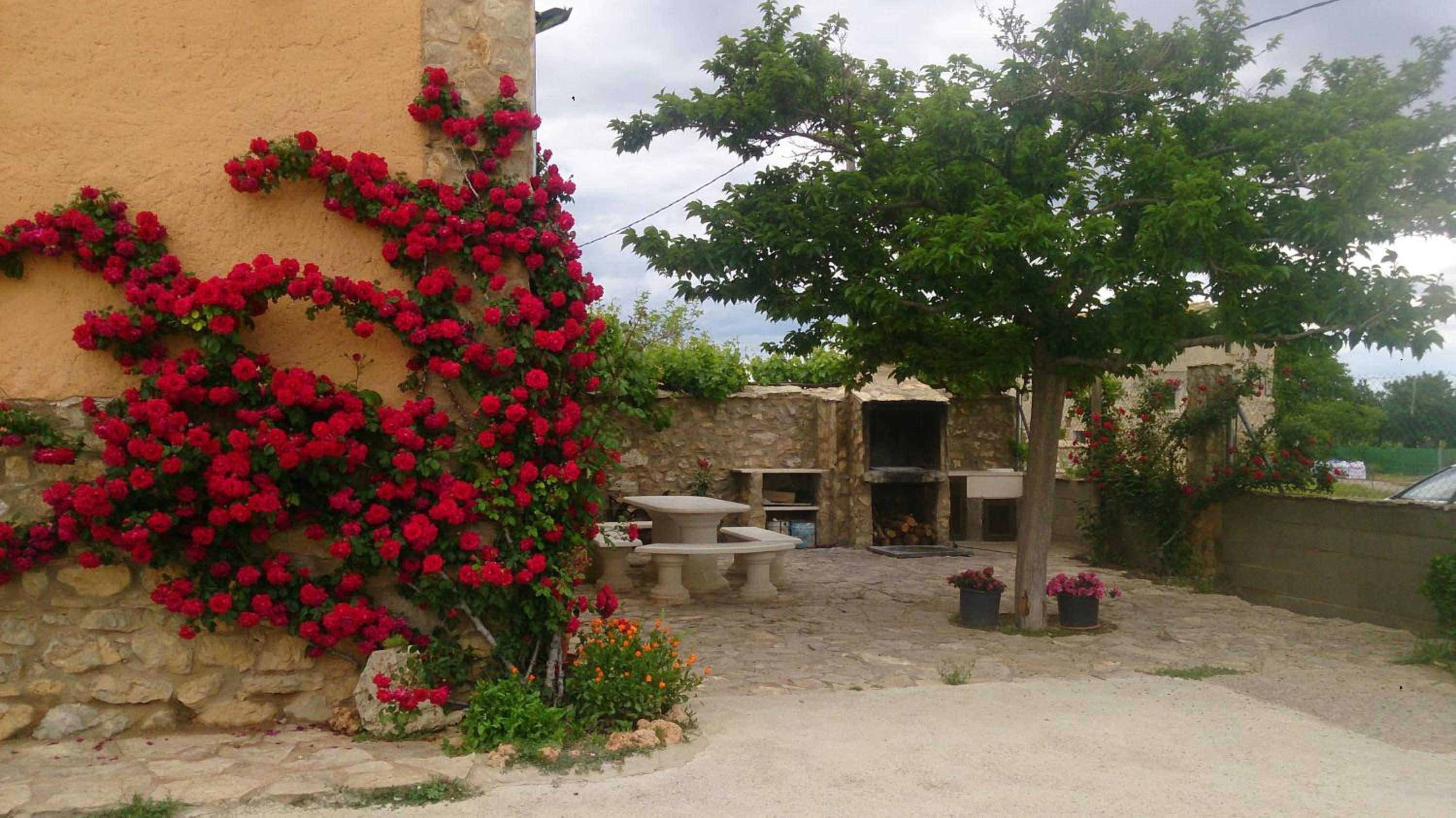 Casa rural Las Masadas view 5