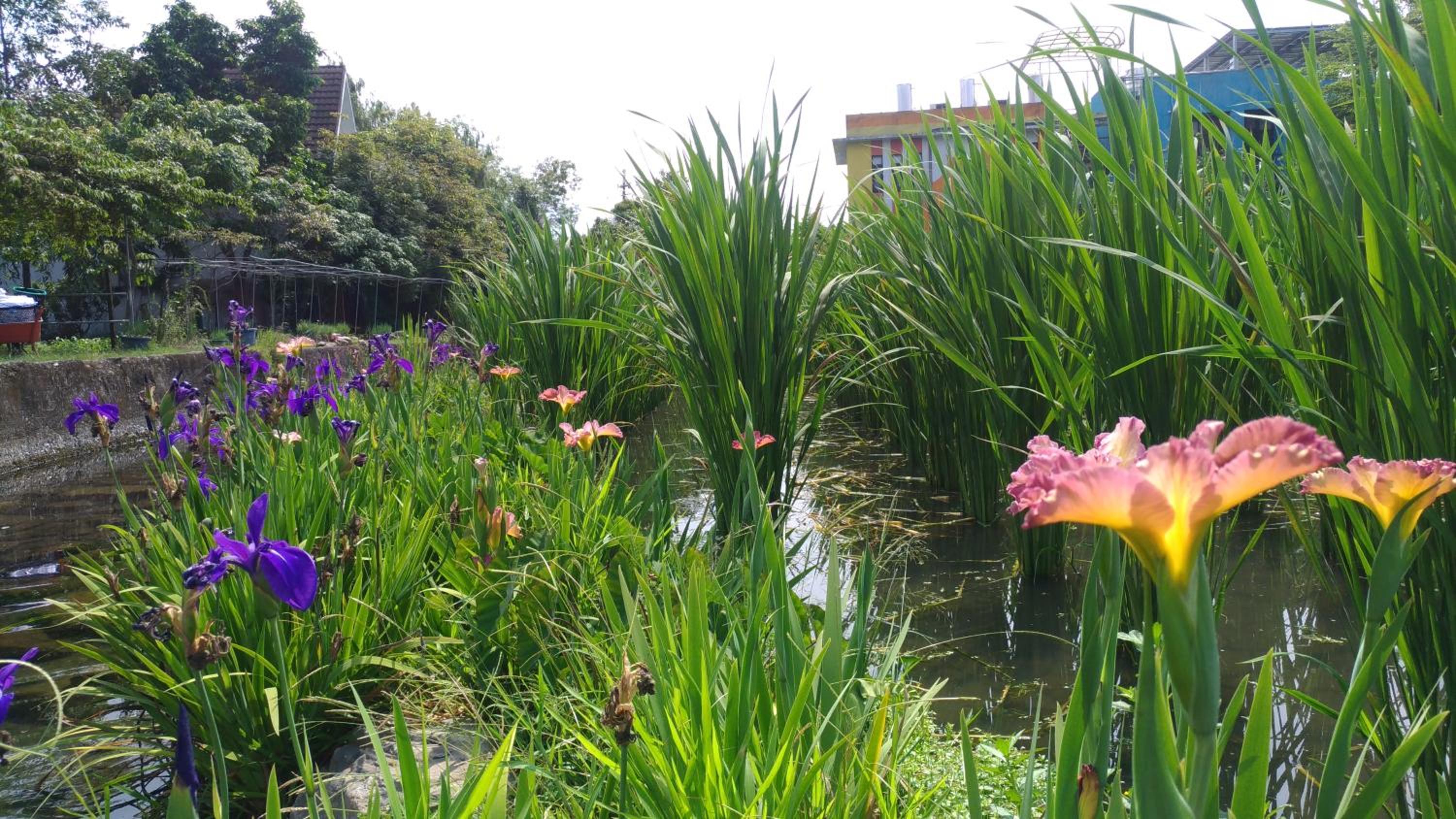 Beauty Spring N Harvest Guest House