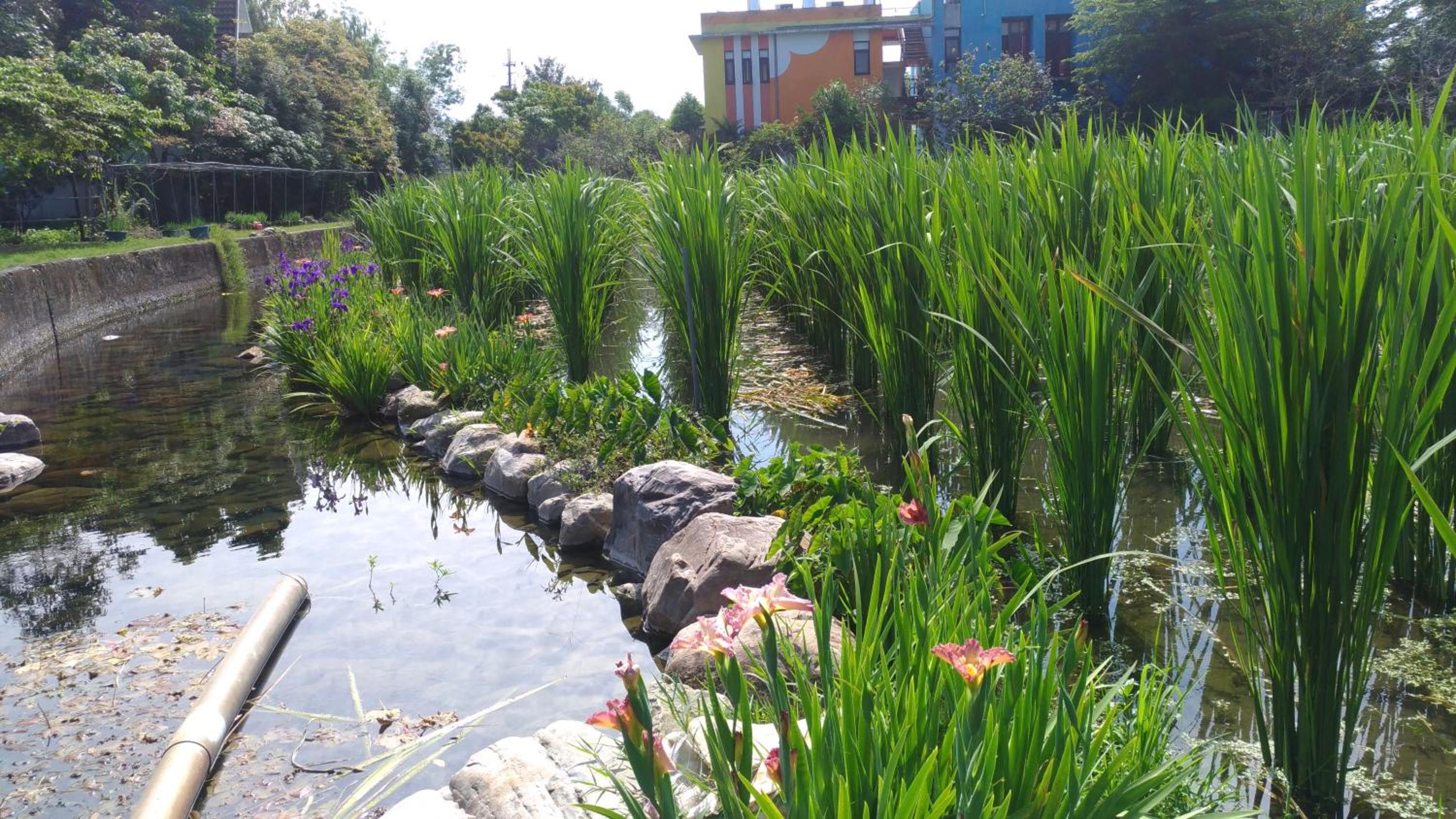 Beauty Spring N Harvest Guest House
