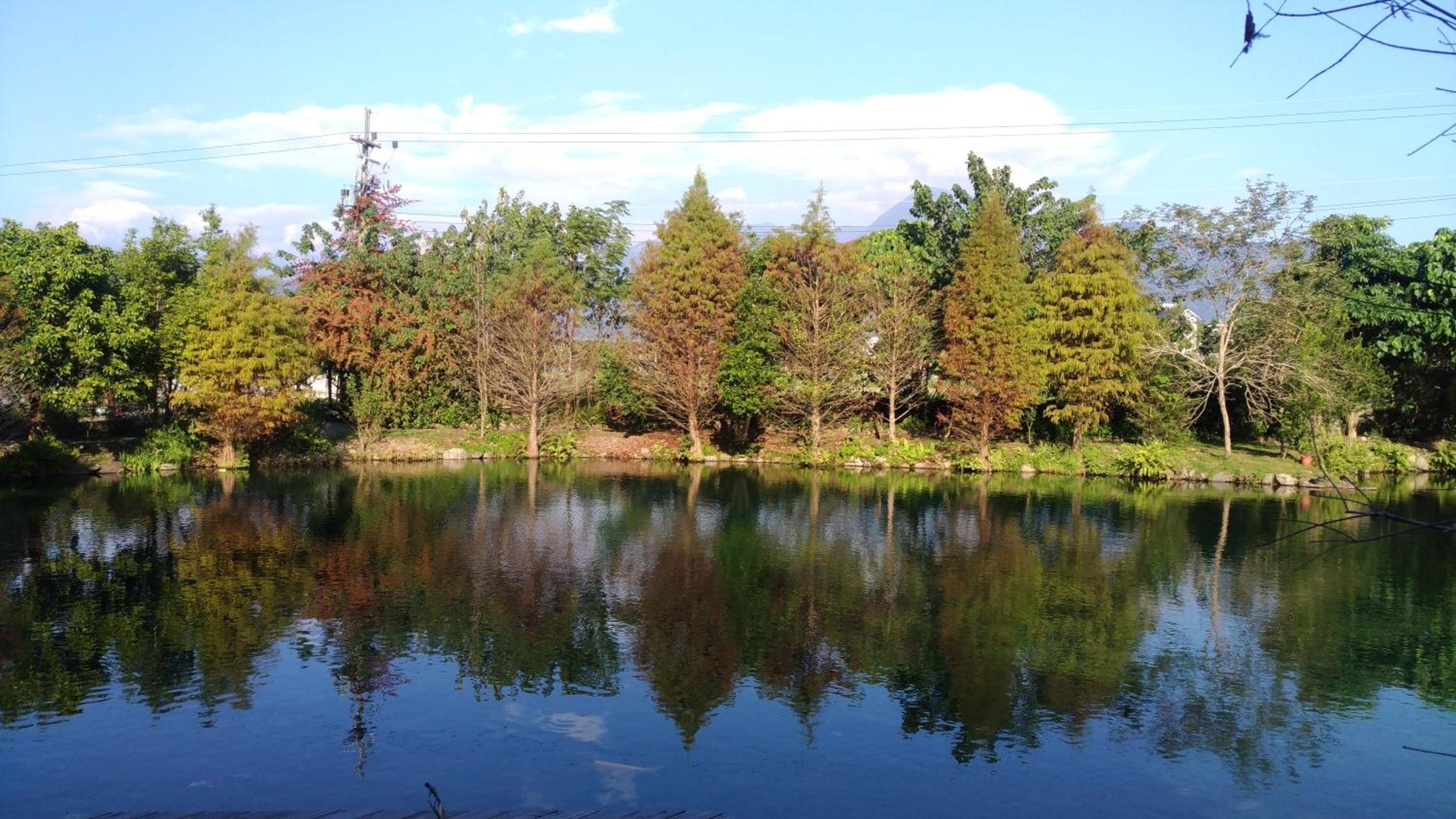 Beauty Spring N Harvest Guest House