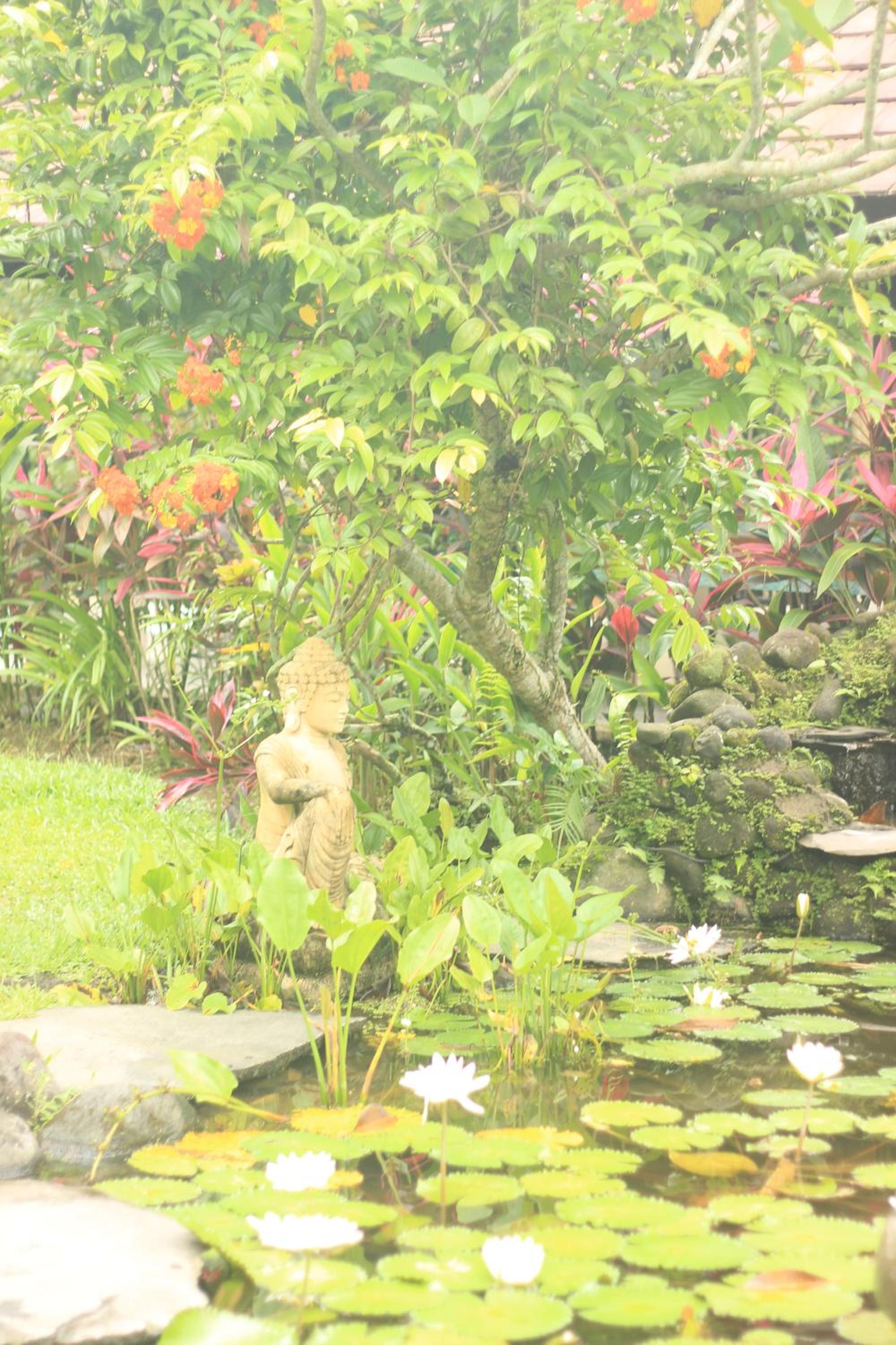 BeingSattvaa Luxury Ubud