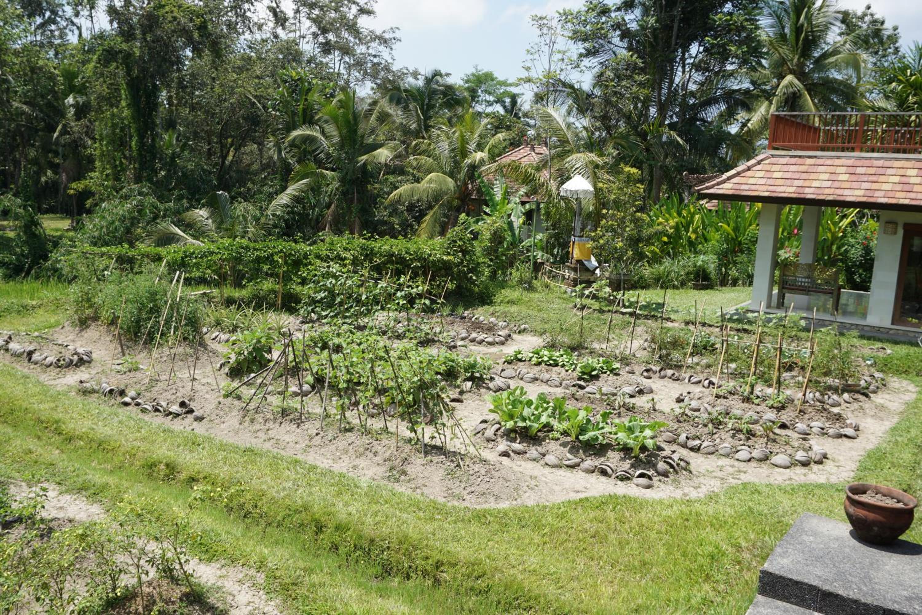 BeingSattvaa Luxury Ubud