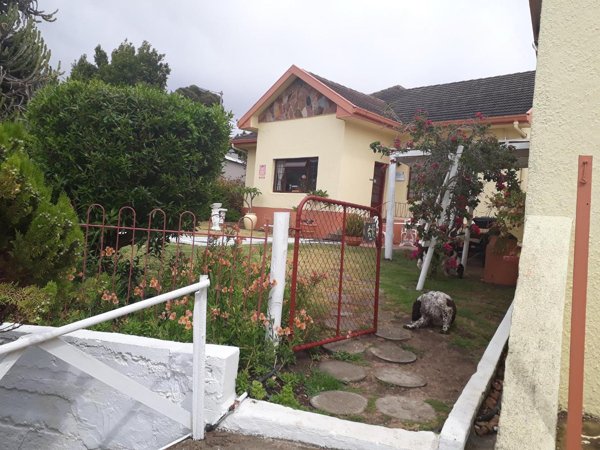 Photo 25
