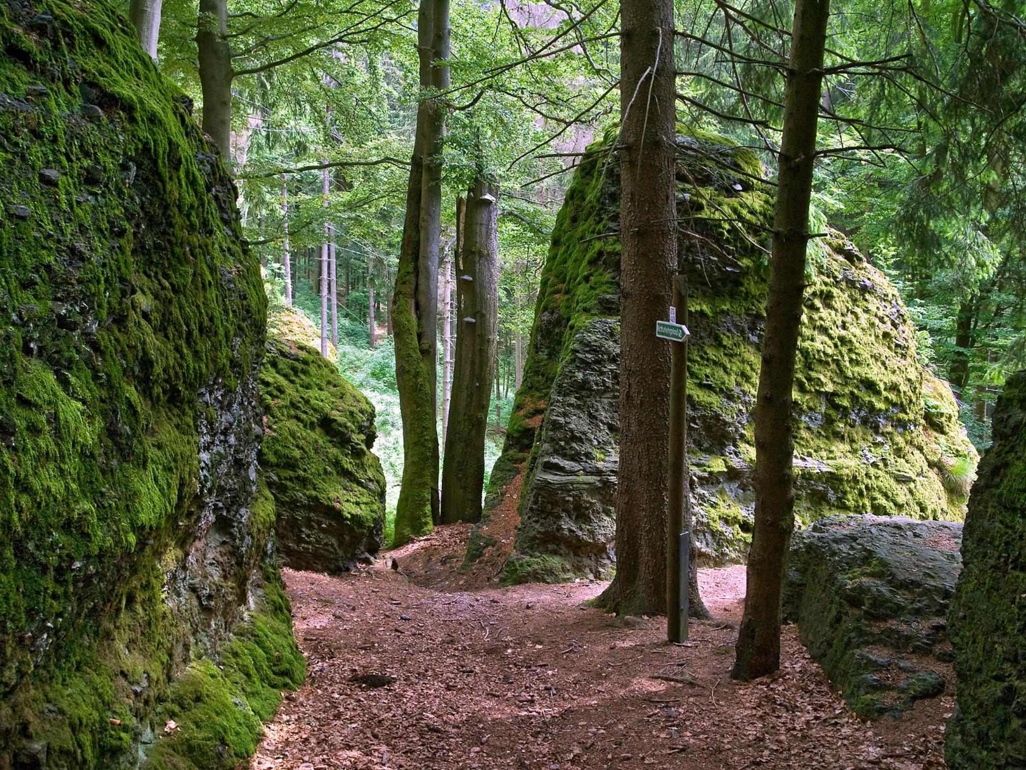 Ferienhaus Wurzelbergblick