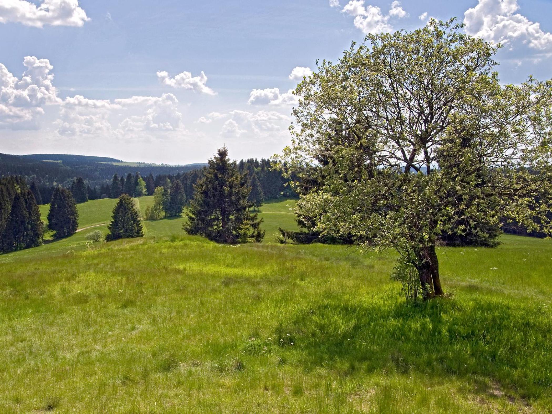 Ferienhaus Wurzelbergblick