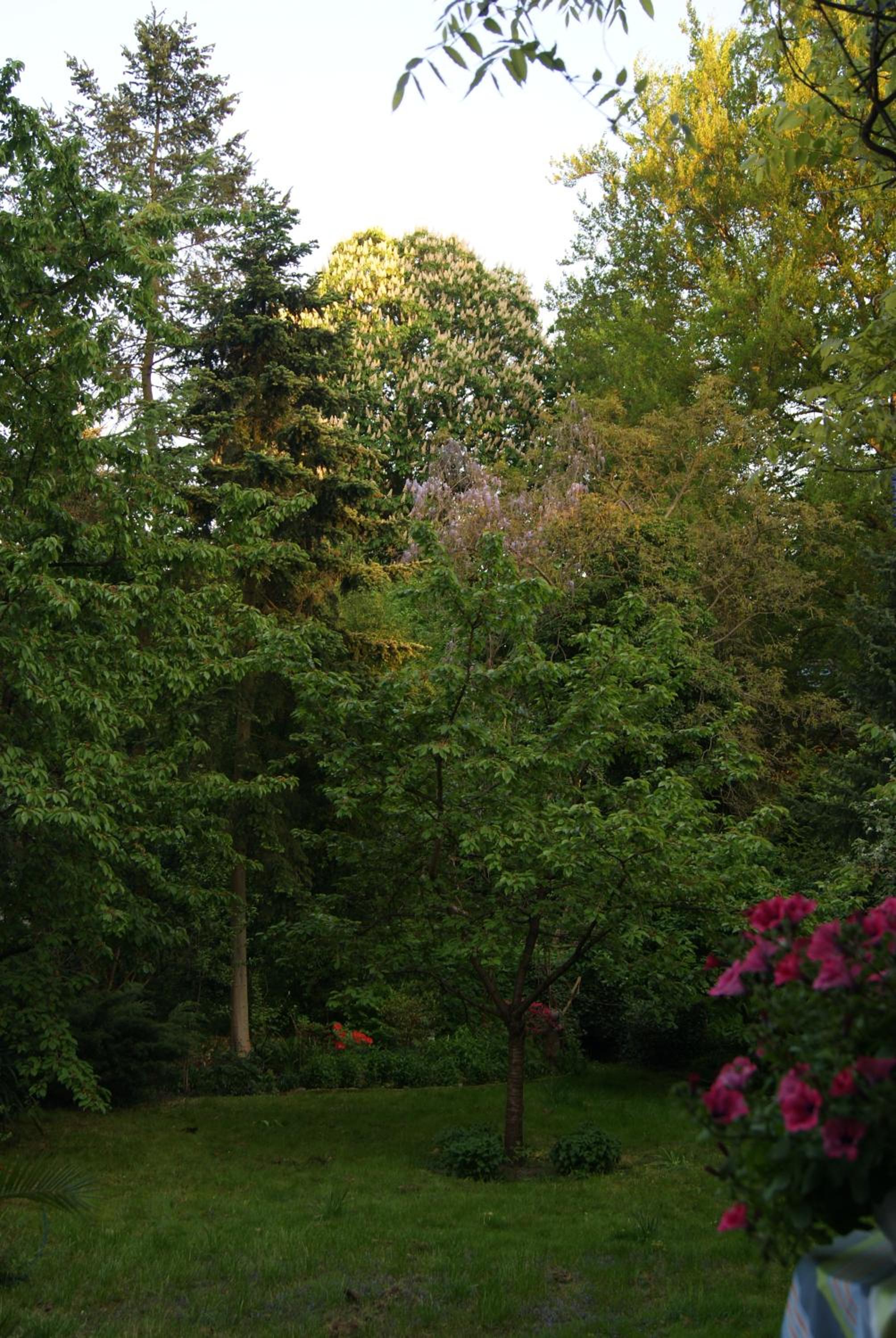 Photo 28