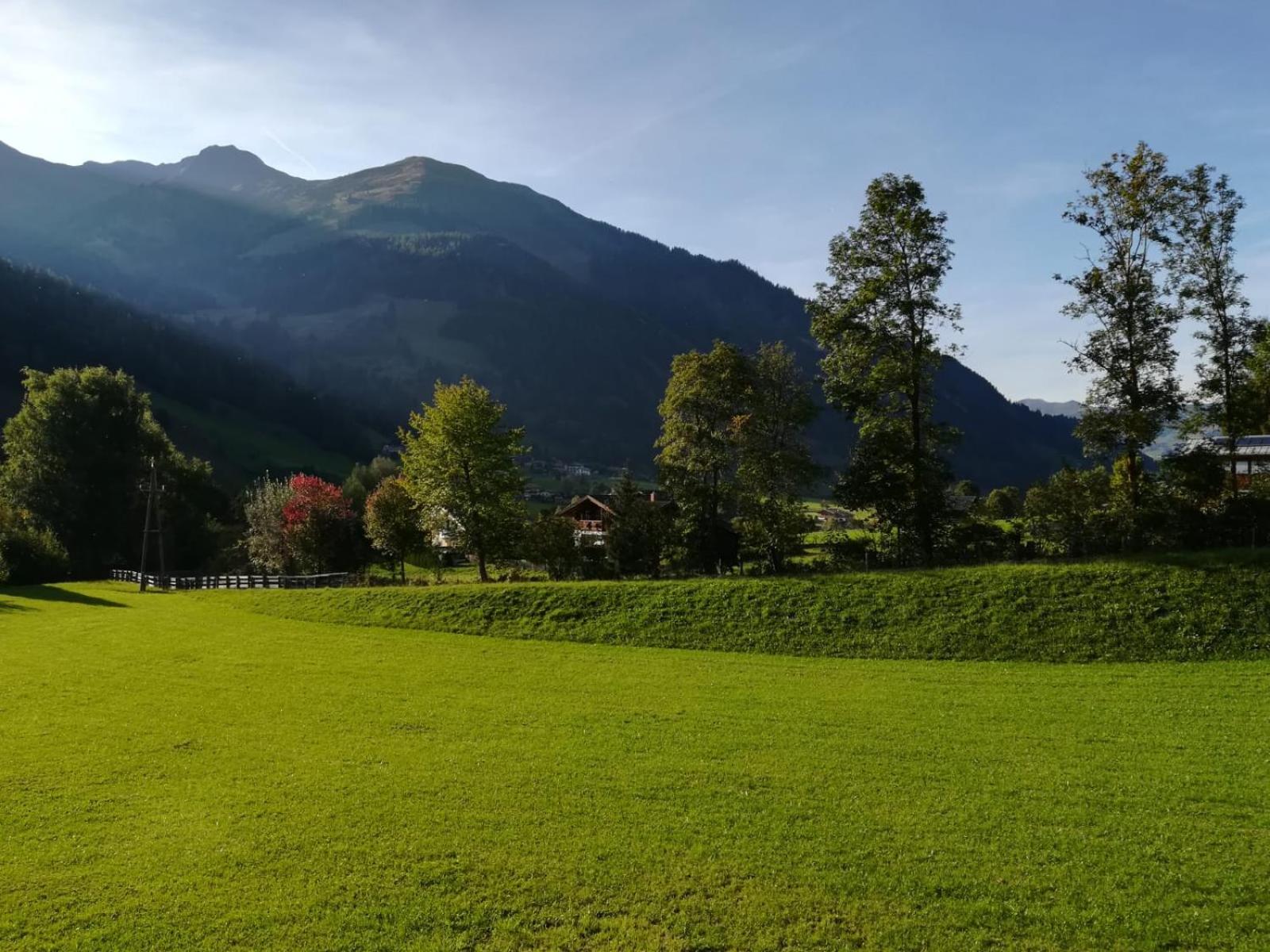 Appartement Alpenliebe view 3