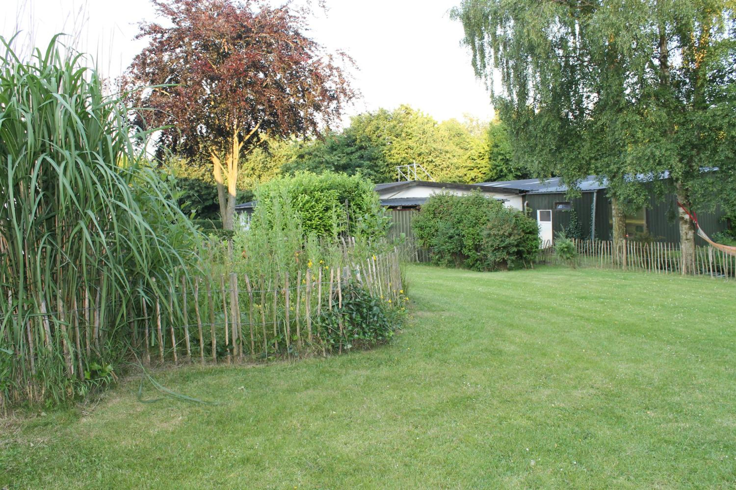 Photo 19