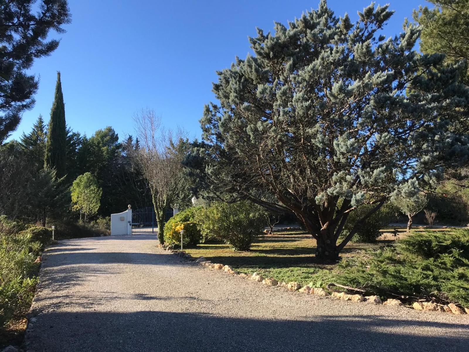 Photo 21