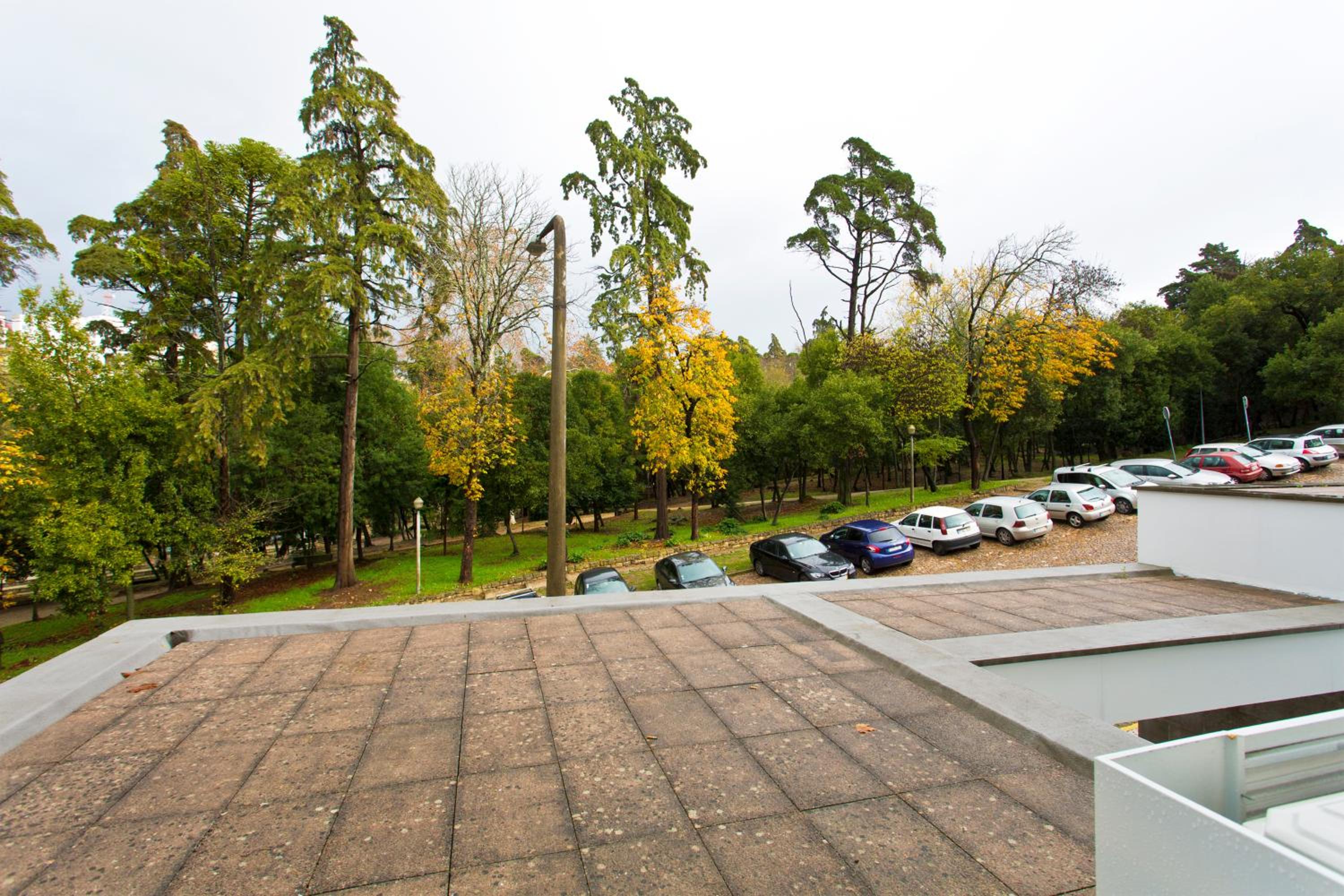 roof