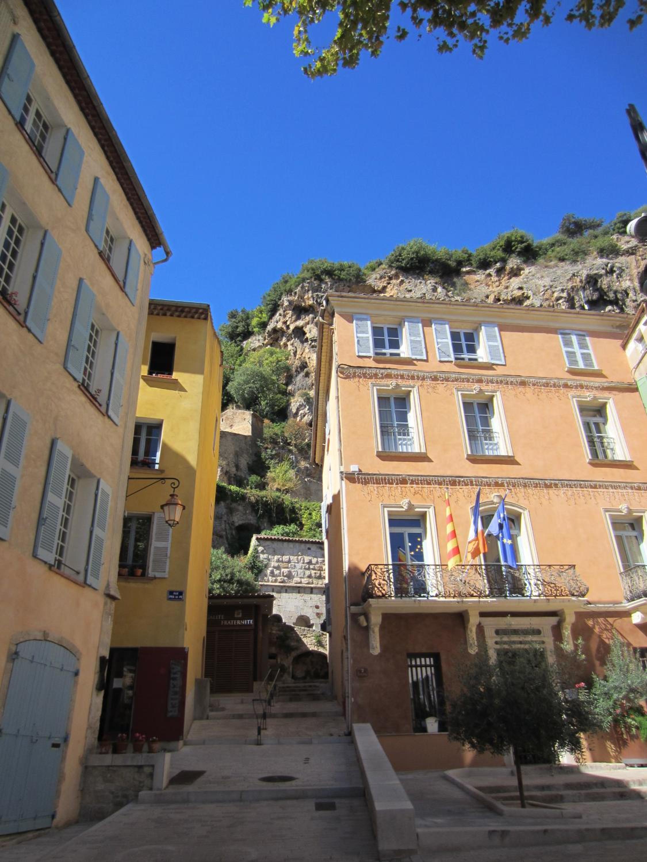 Photo 6
