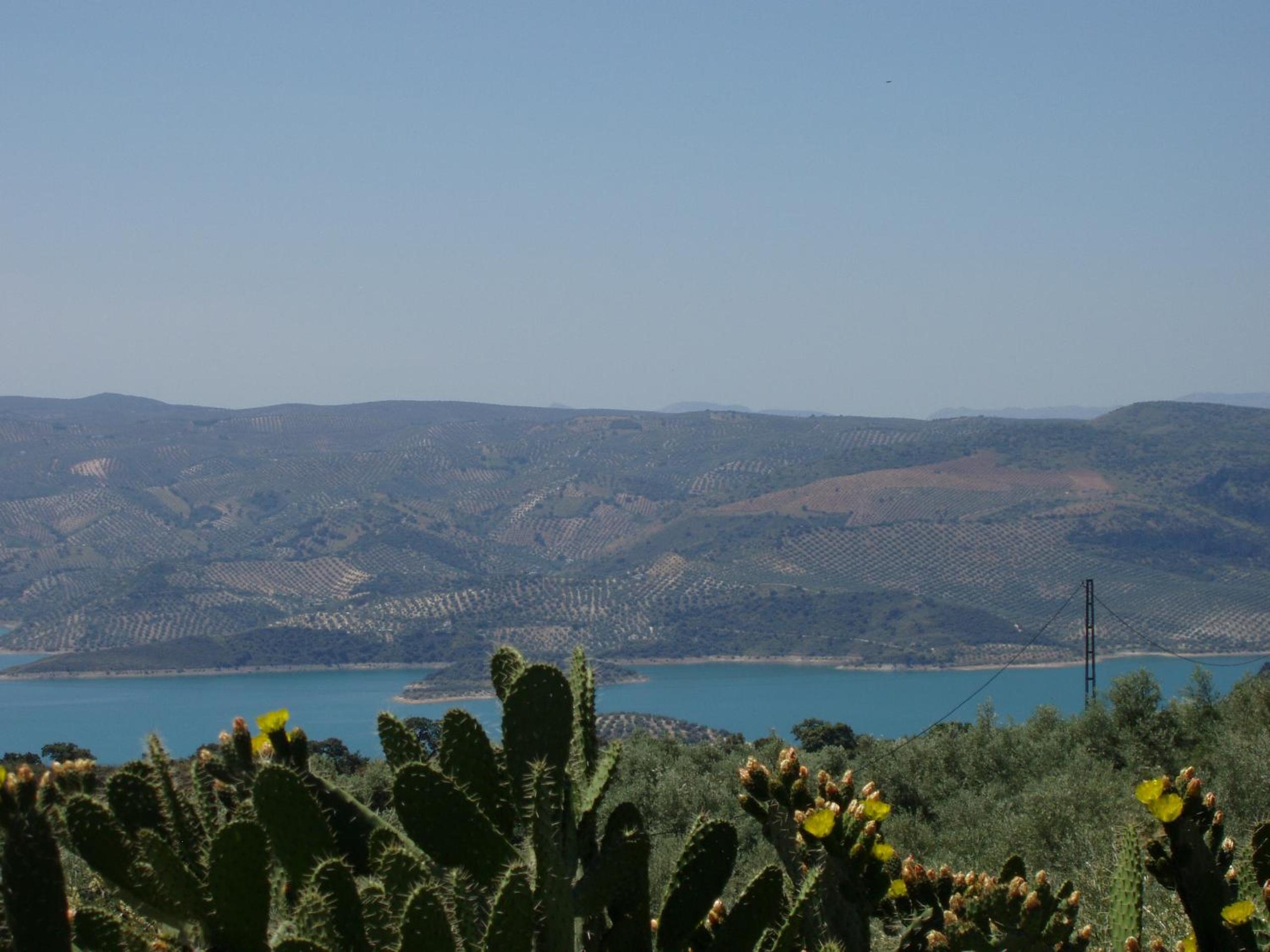 El Rincon de Carmen