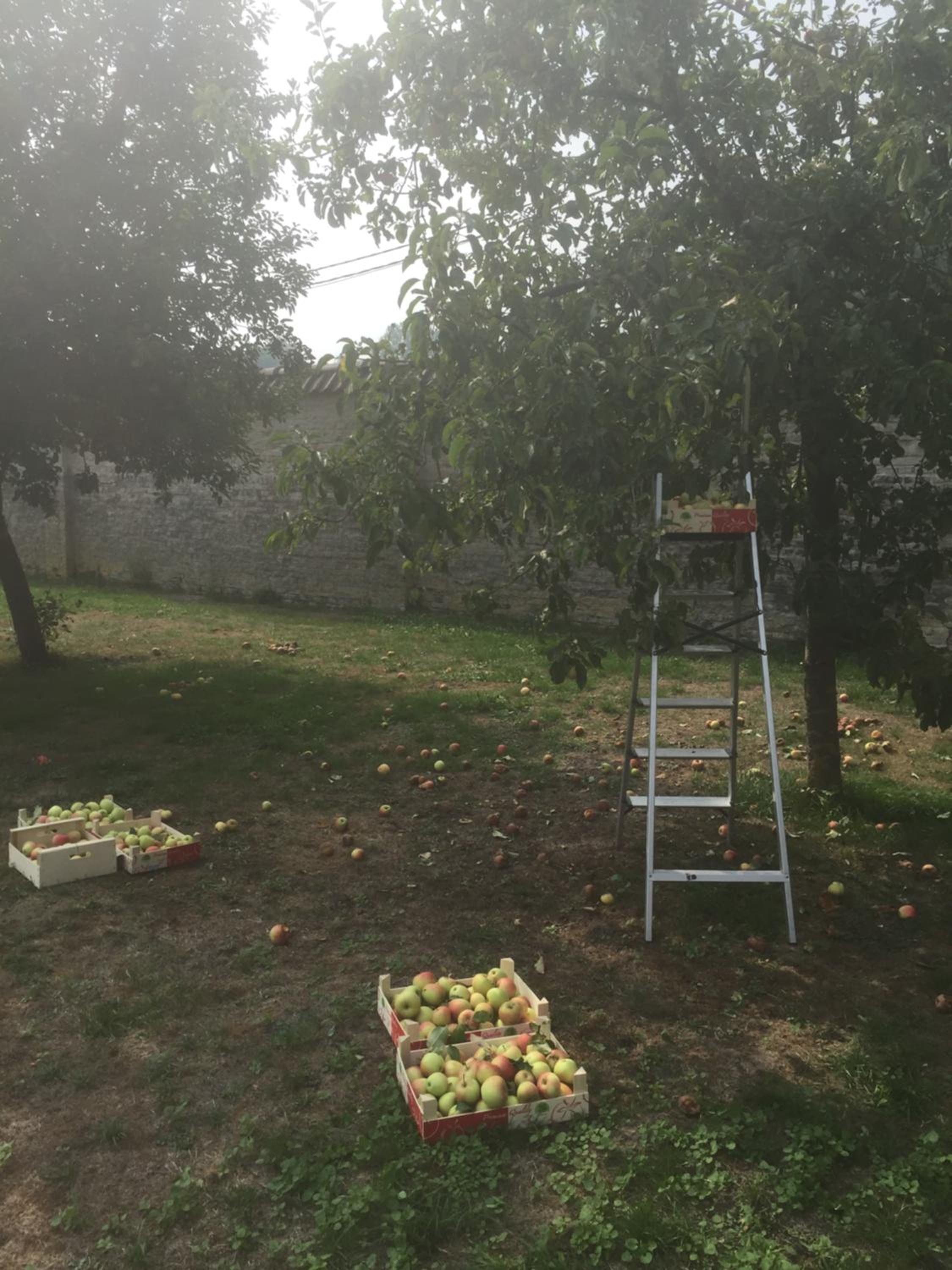 Photo 41