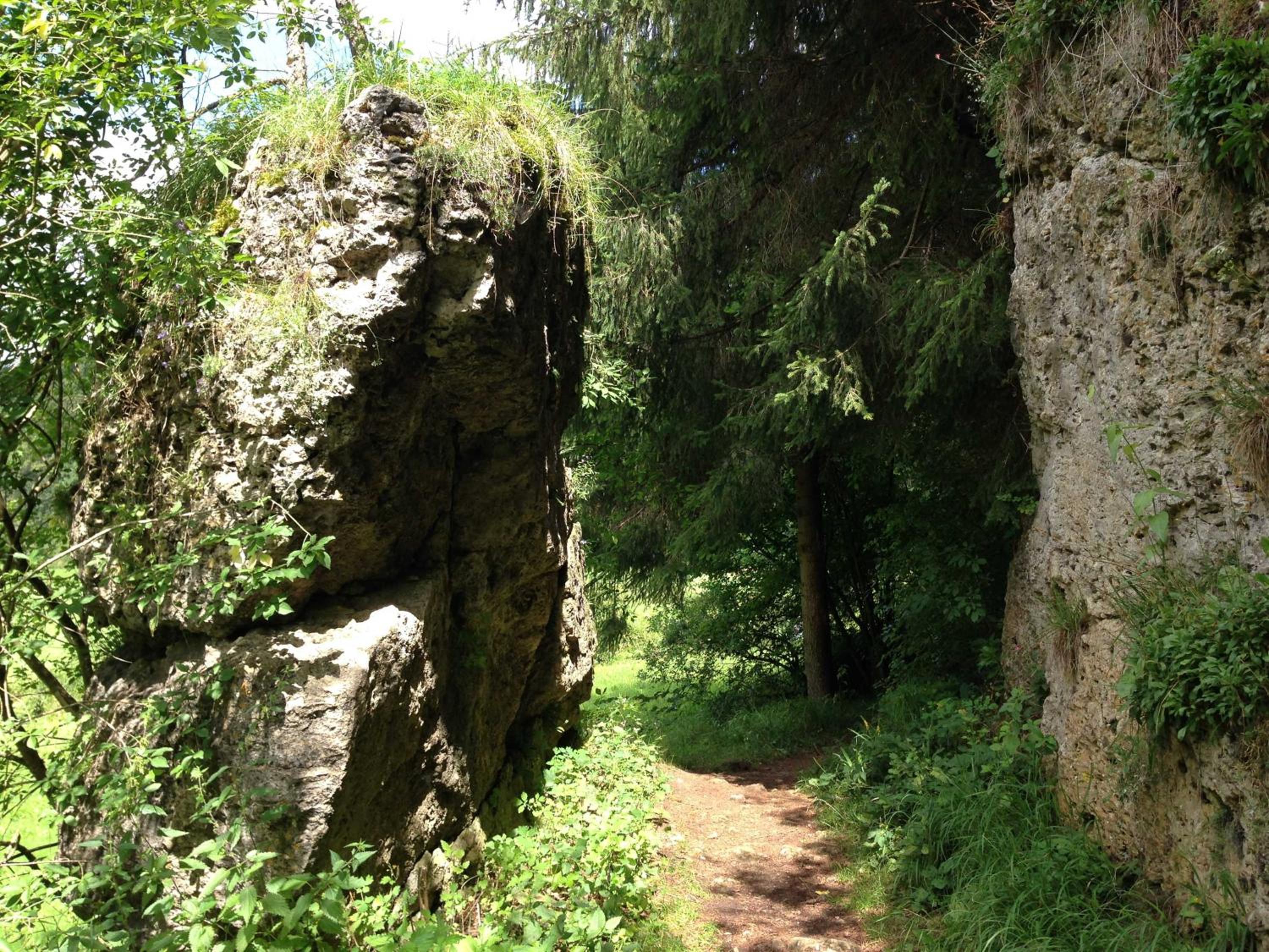 Photo 48