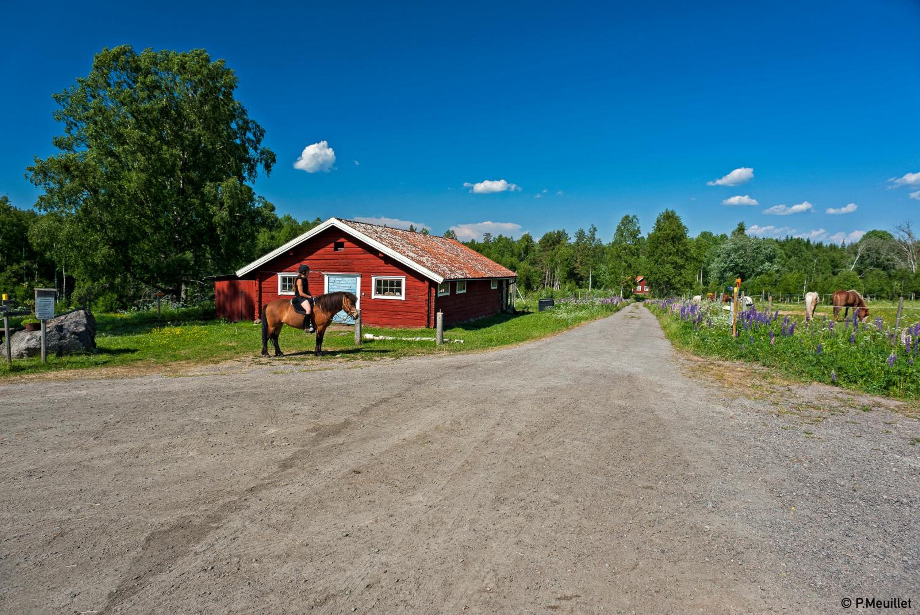 STF Tivedstorp