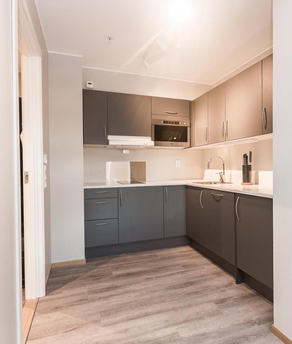 MAYA Apartments - Kasjotten, Skjetten view 4