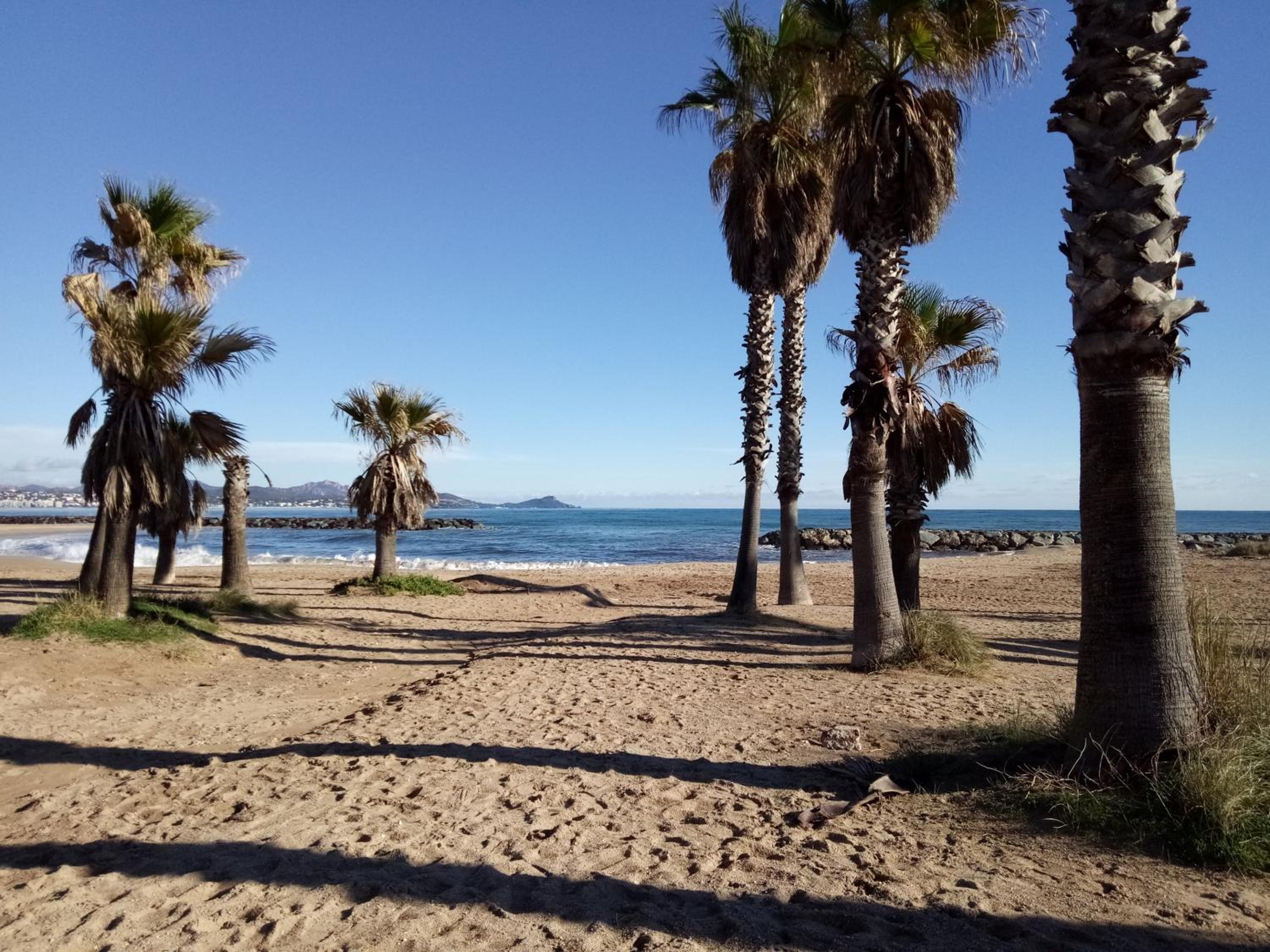 Le Petit Paradis - La Provençale, photo 18