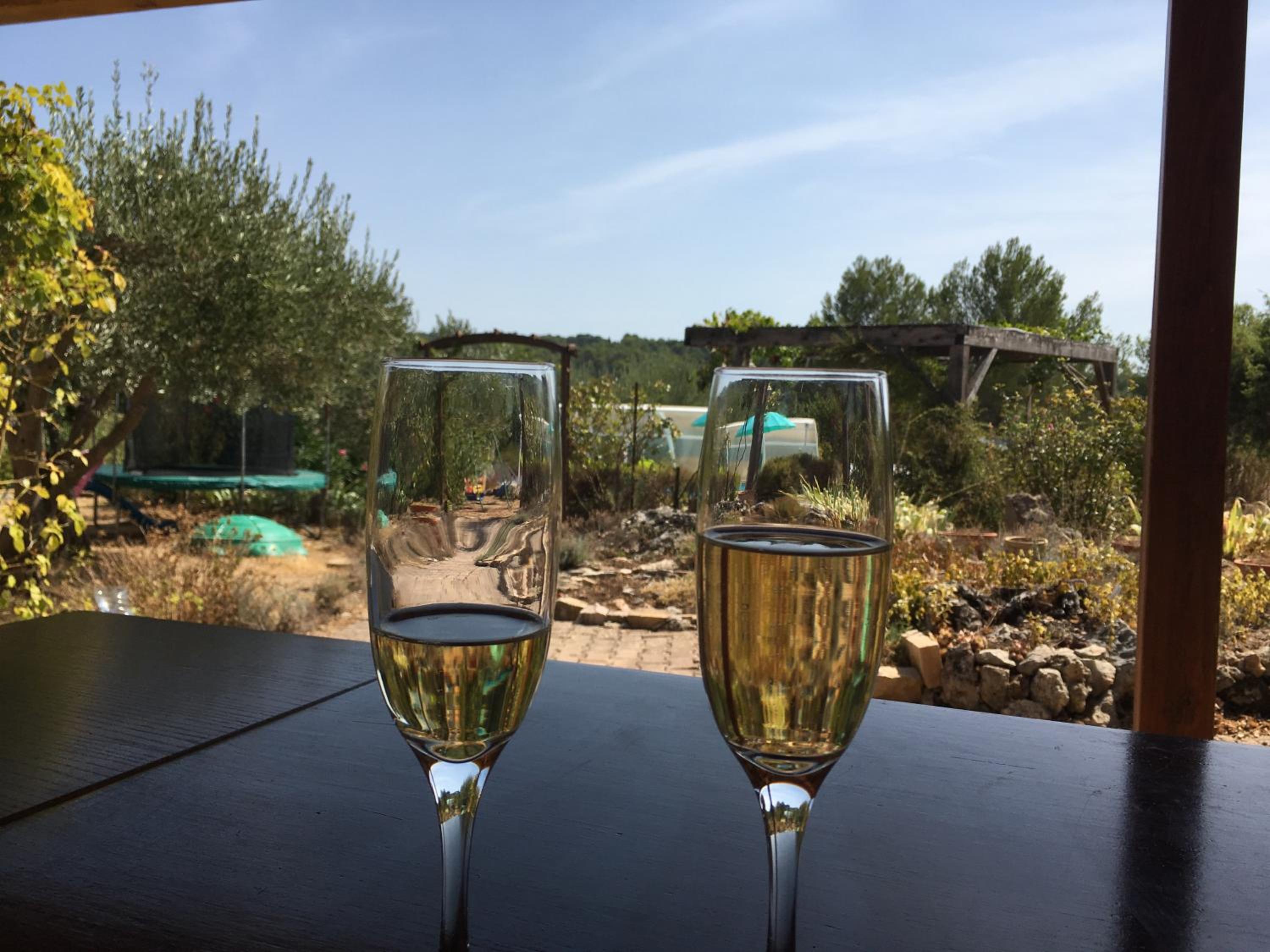 Le Petit Paradis - La Provençale, photo 27