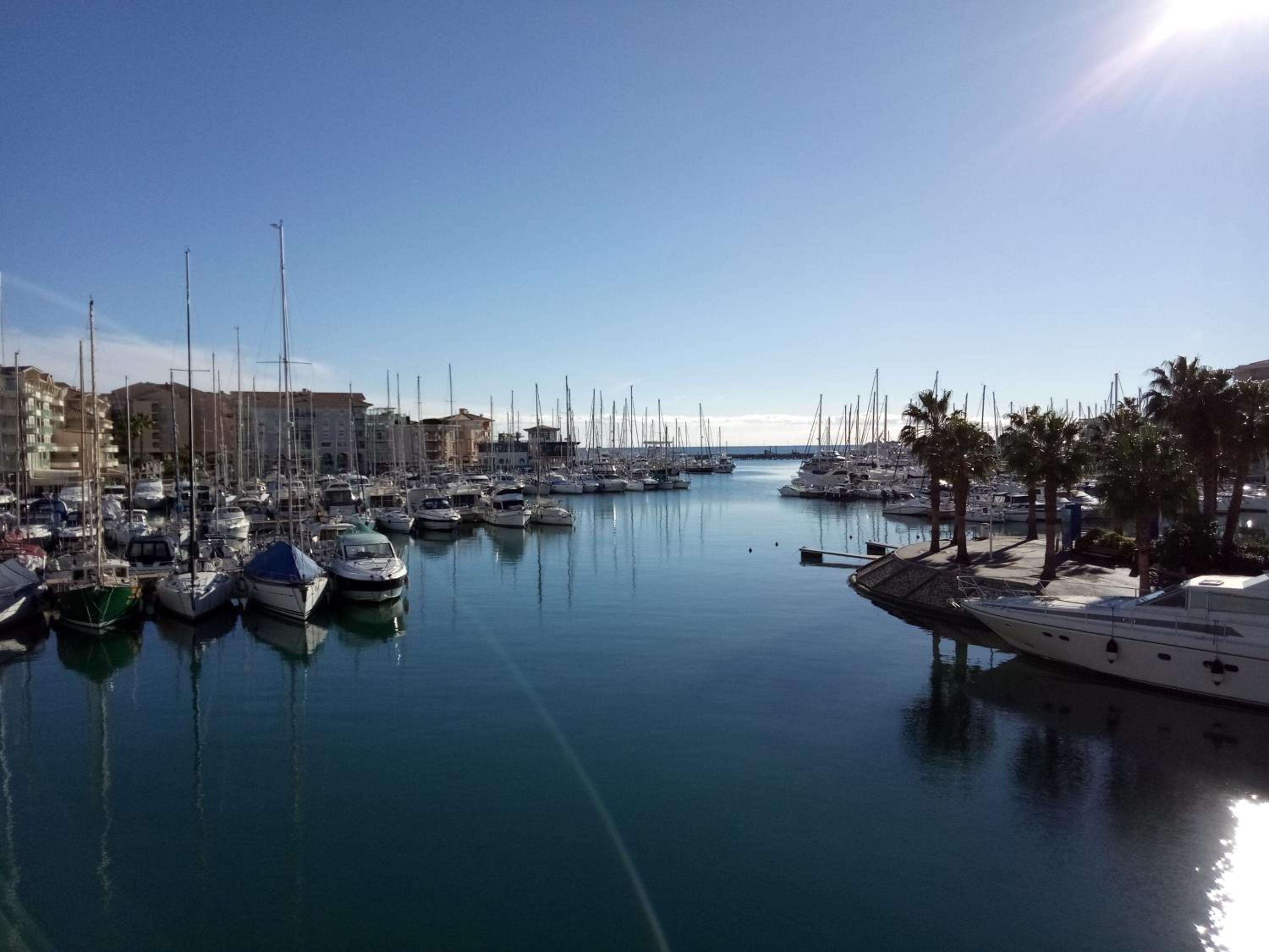 Le Petit Paradis - La Provençale, photo 29