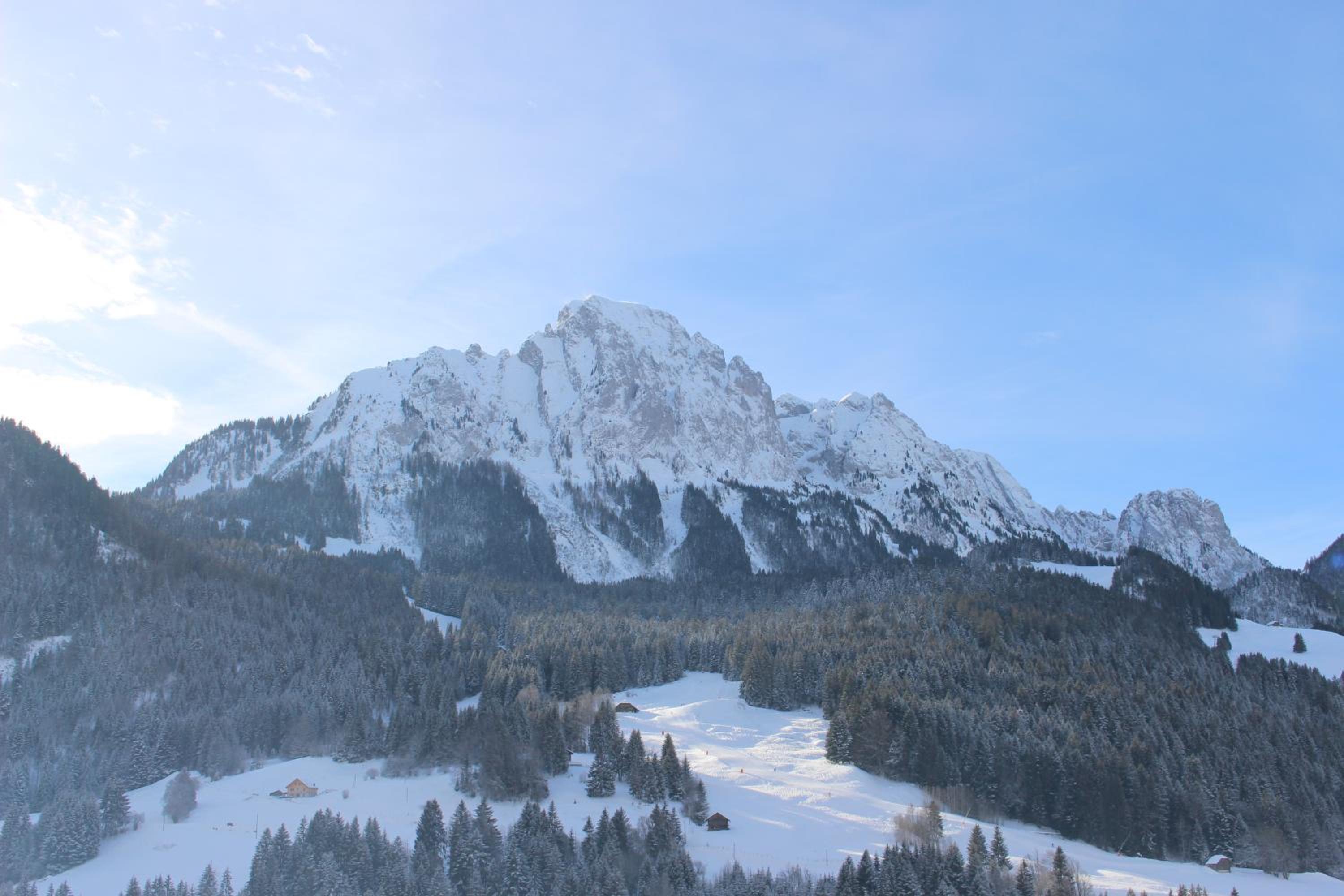 Appartement Le Roc view 4