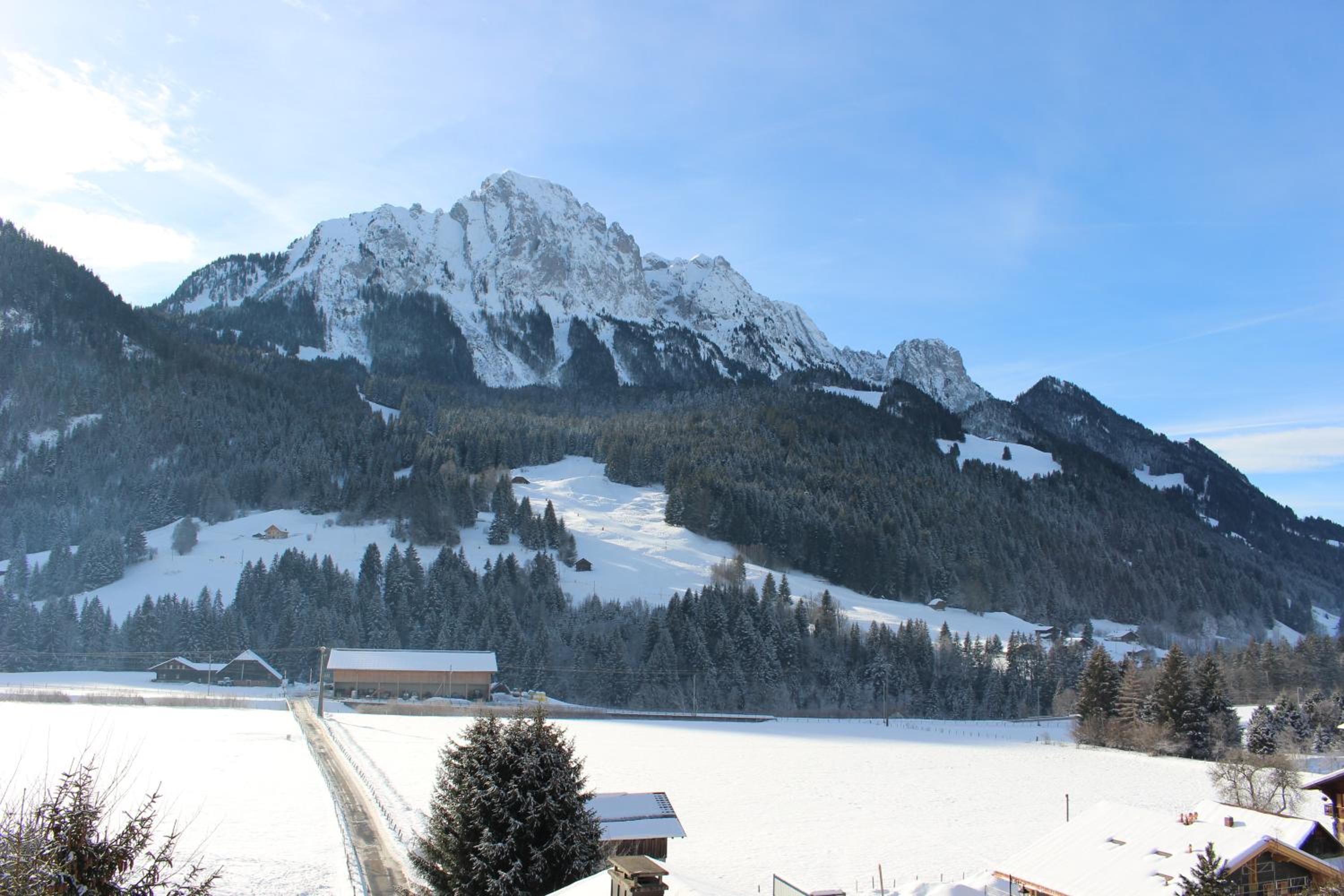 Appartement Le Roc view 5