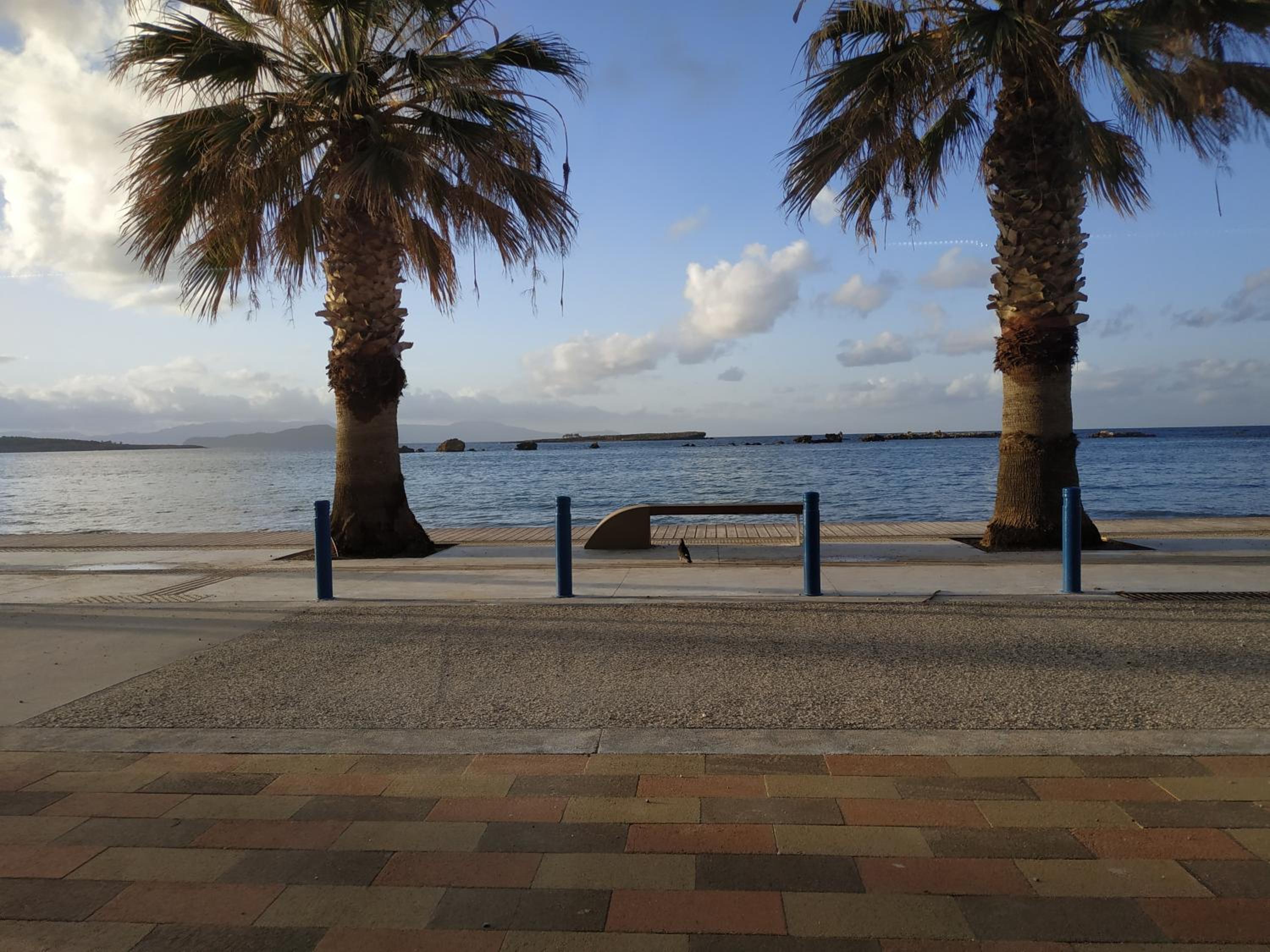 Photo 42