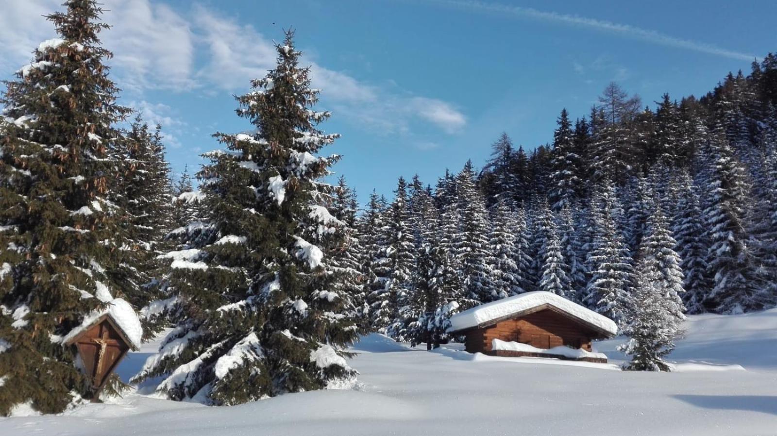 Apart Waldegger view 5