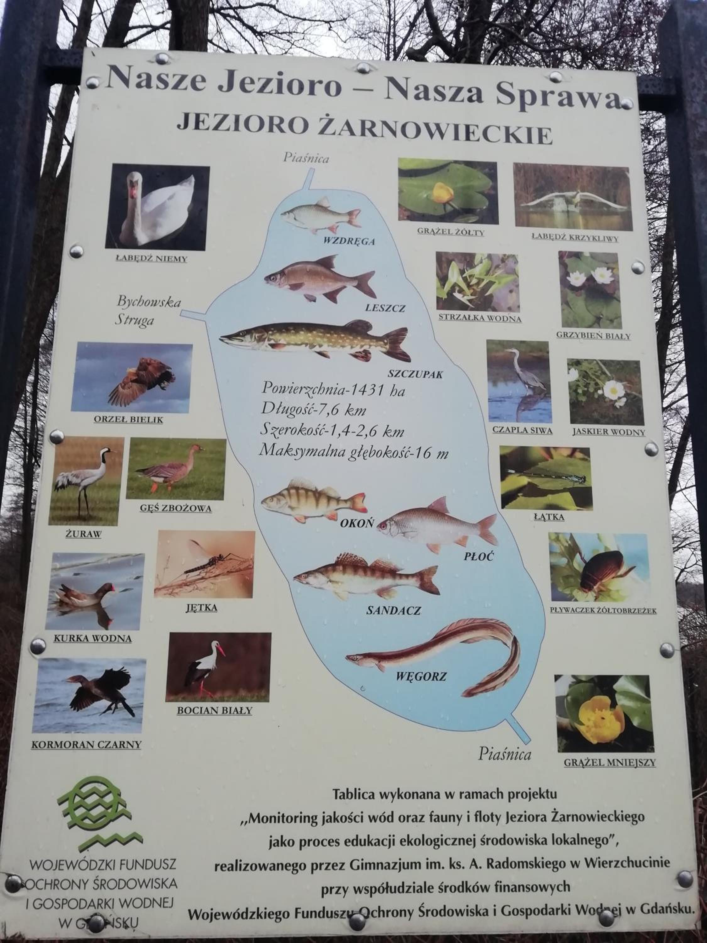Grabówka view 5