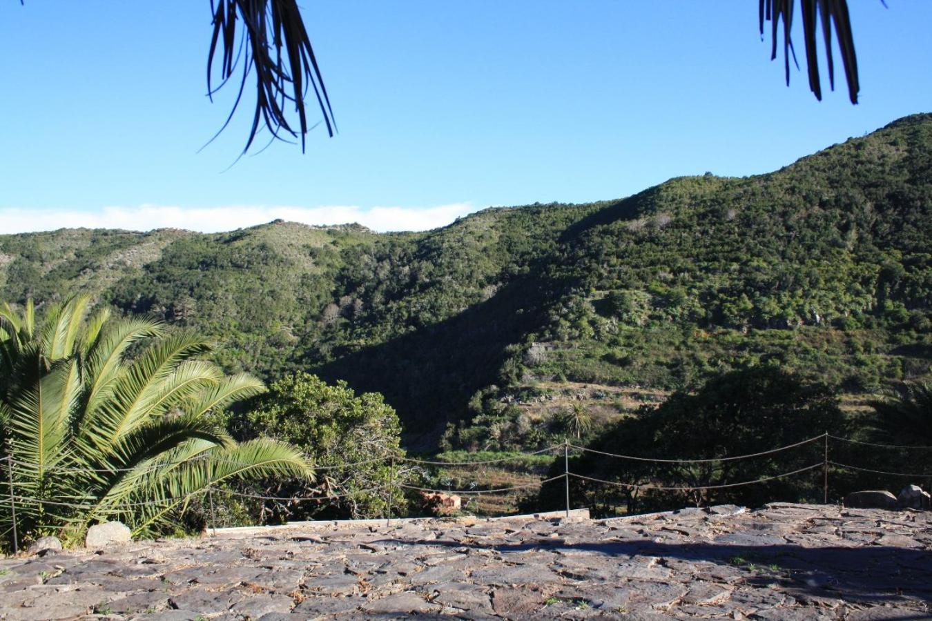 Casa Rural Finca la Maleza view 4
