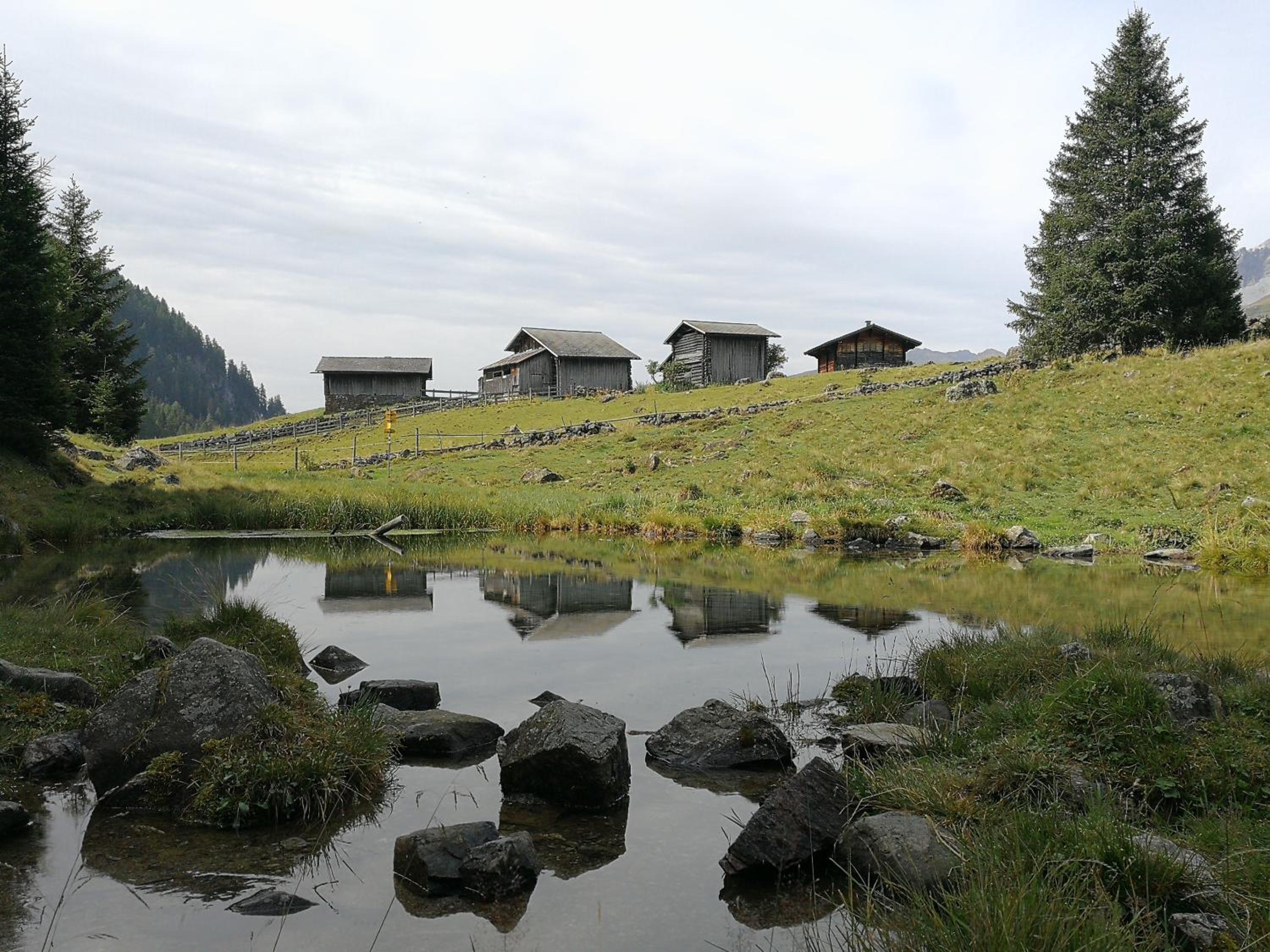 Photo 14