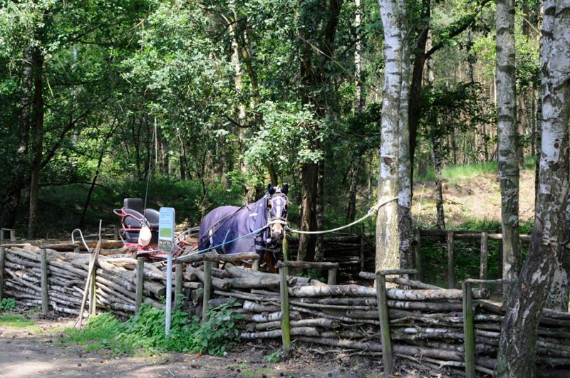 Vakantiewoning Zavelbos