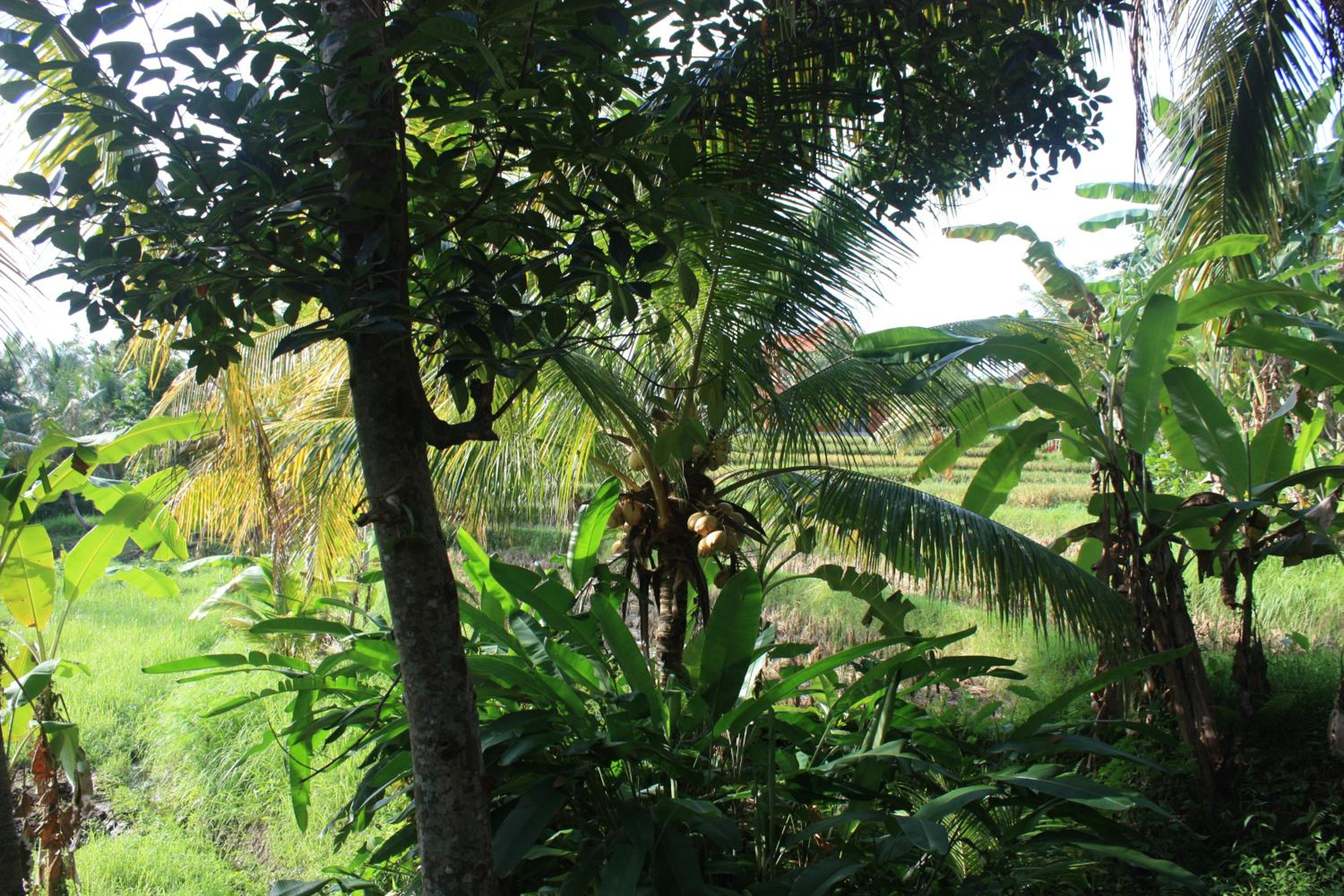 Photo 40