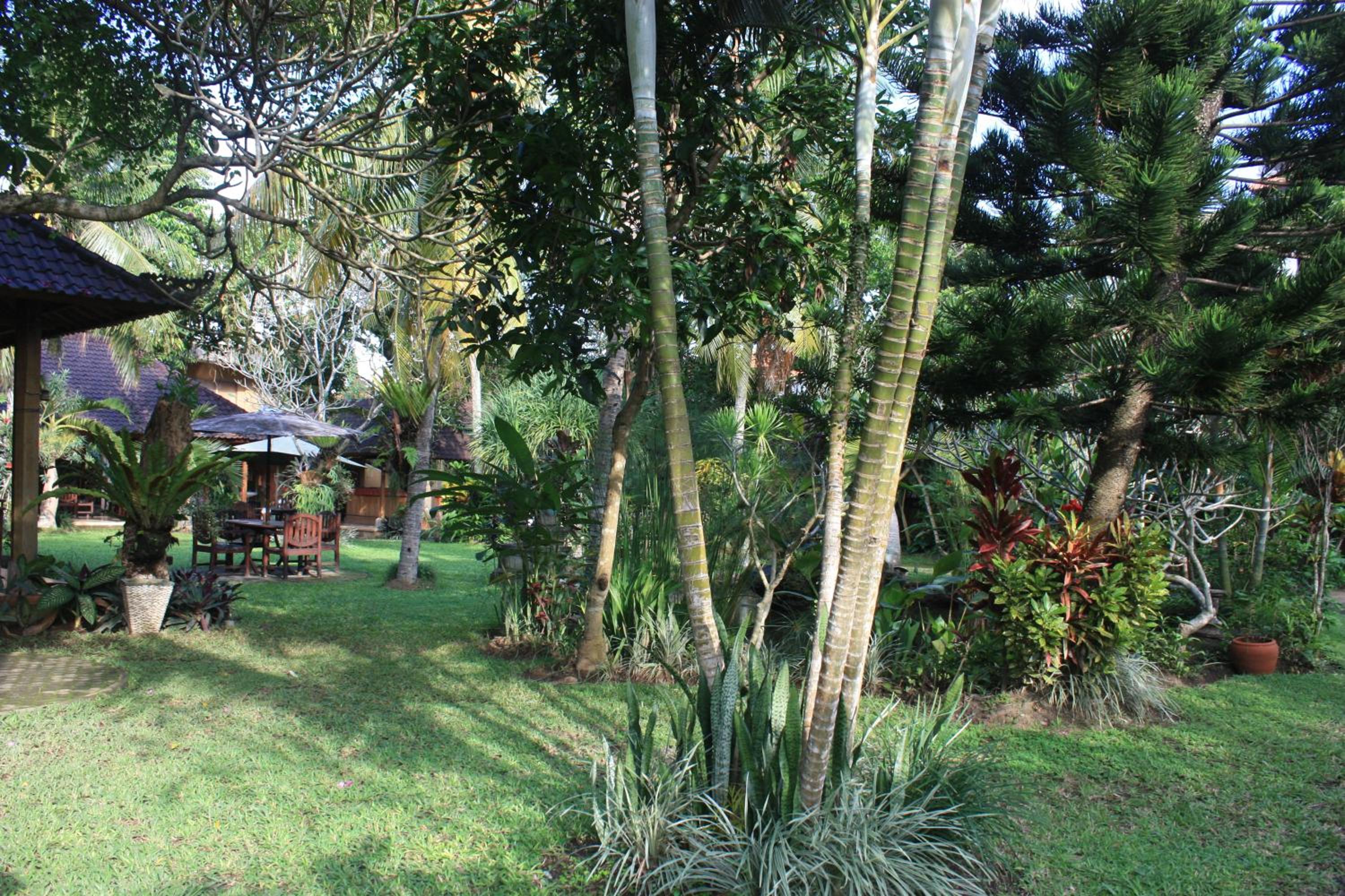 Photo 38