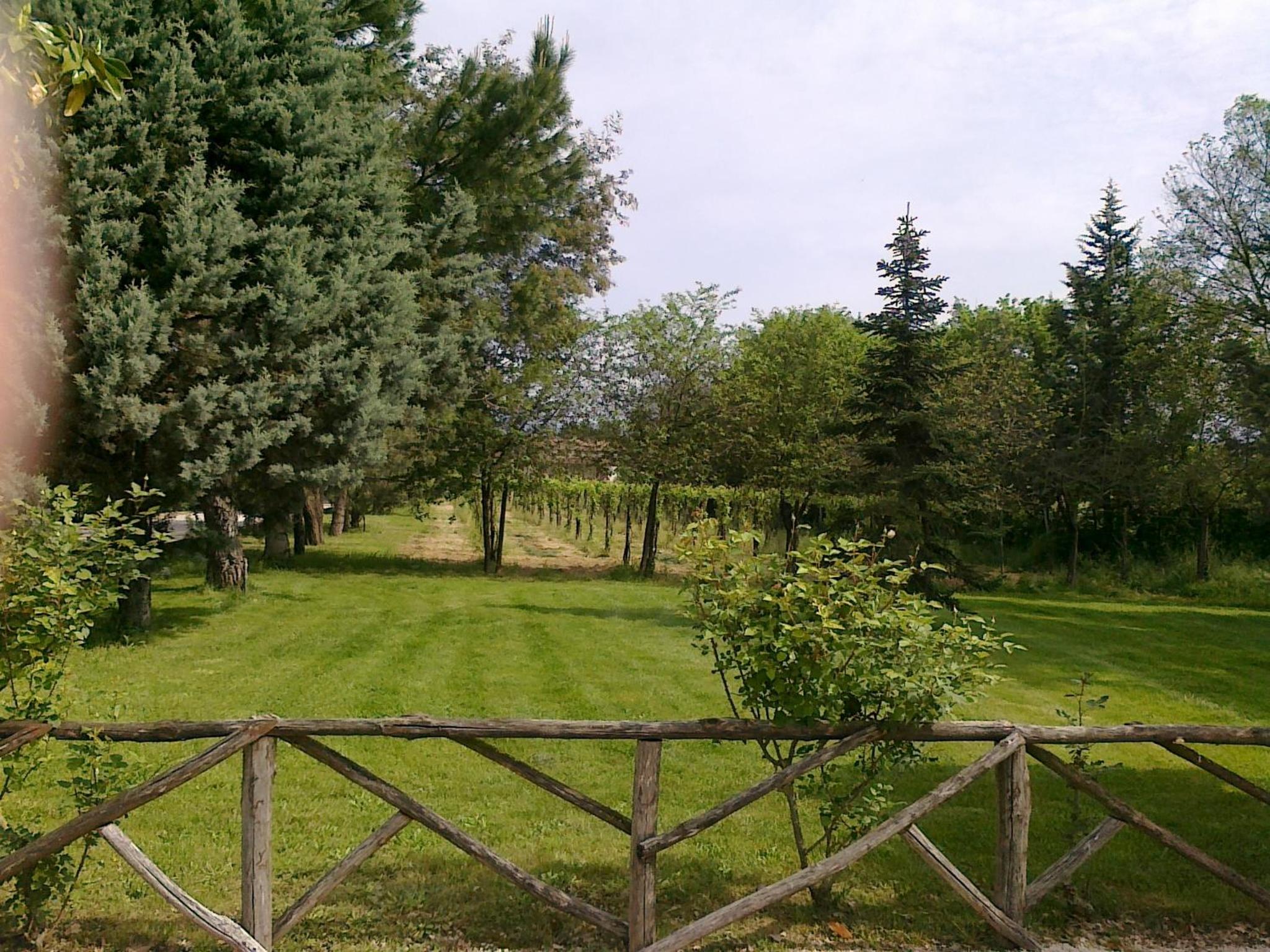 Photo 34
