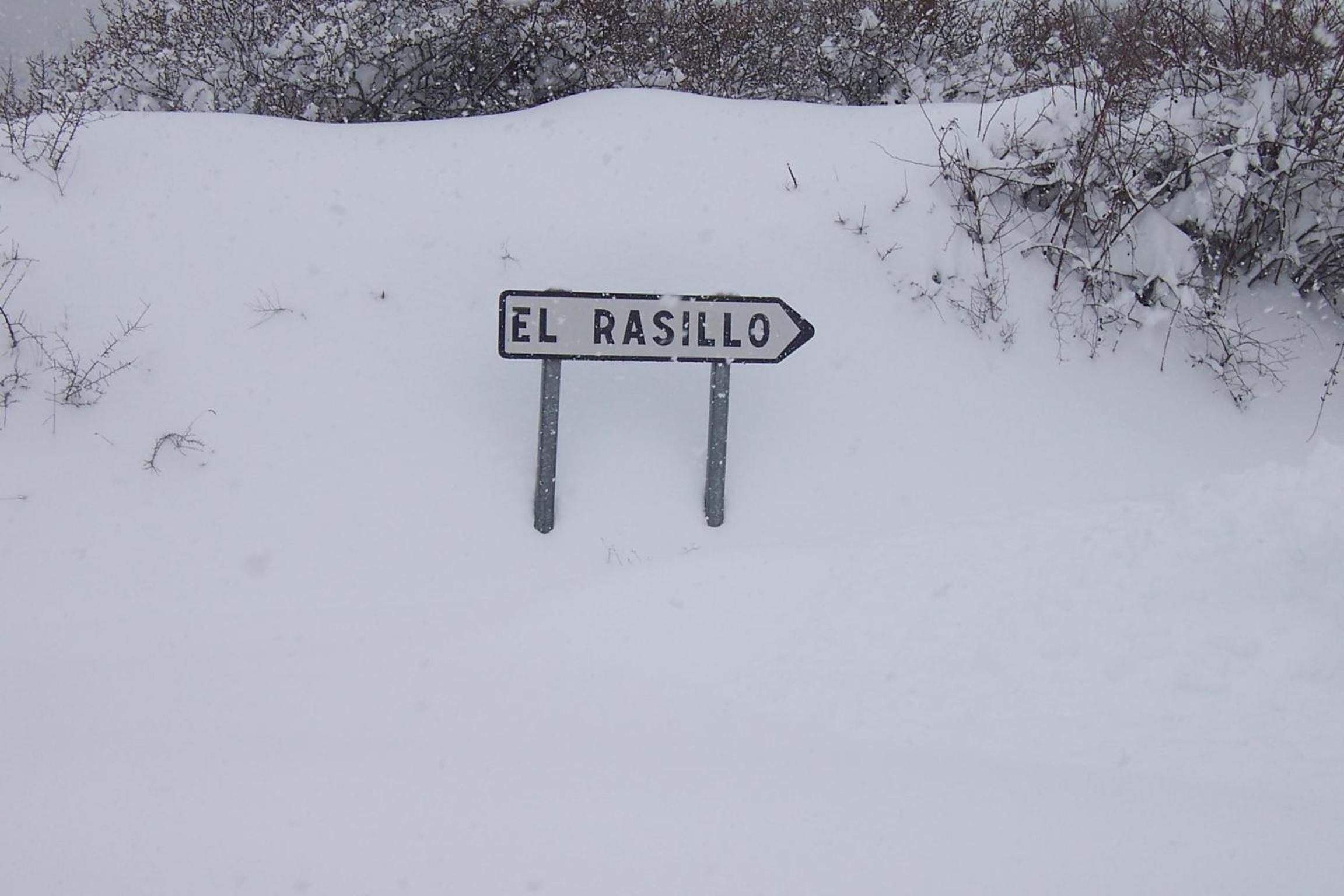 El Patio de la Morera
