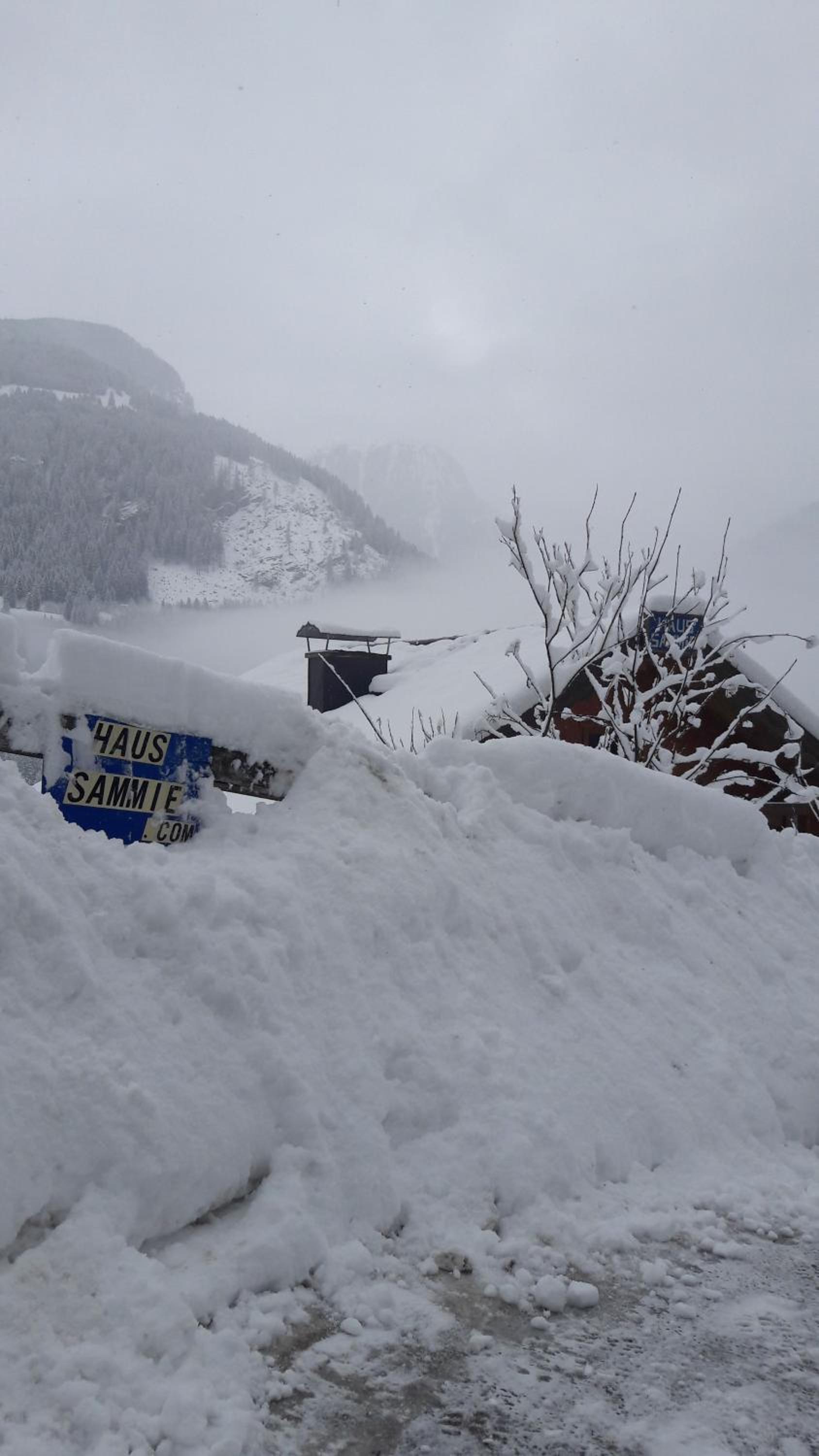 Appartementhaus Gastein / Haus Sammie