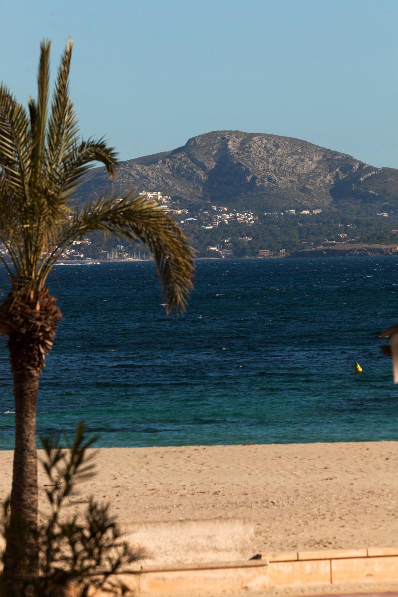 Tamarells en Port de Pollensa — other