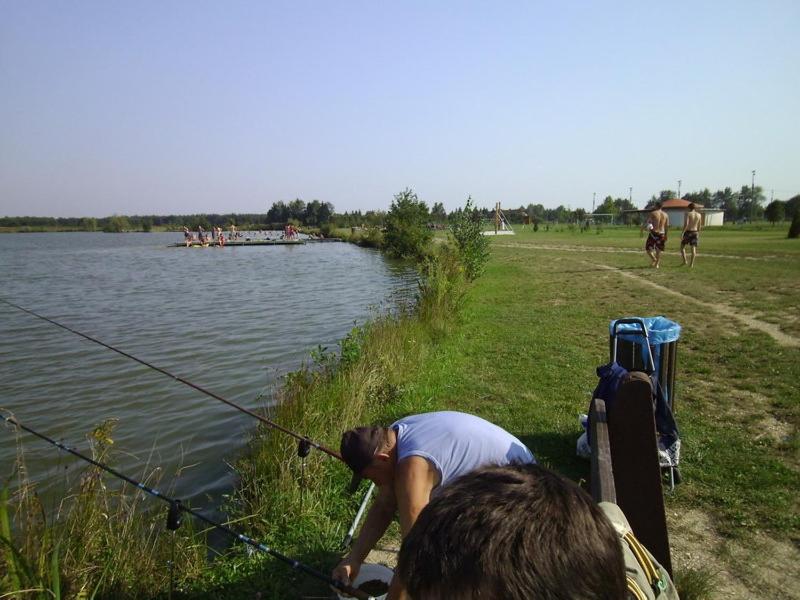 Photo 50