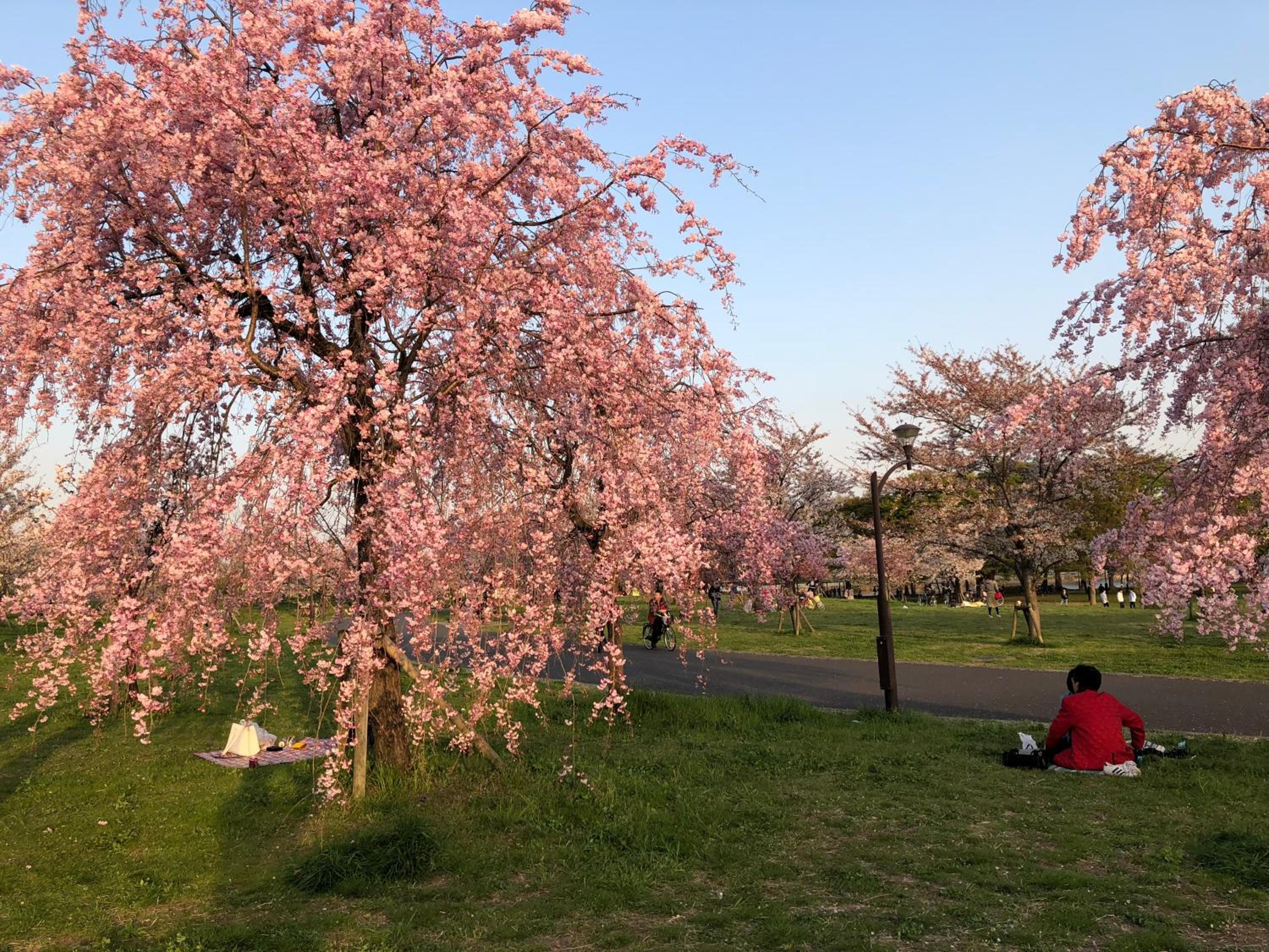Tokyo Toneri Garden House-Stay