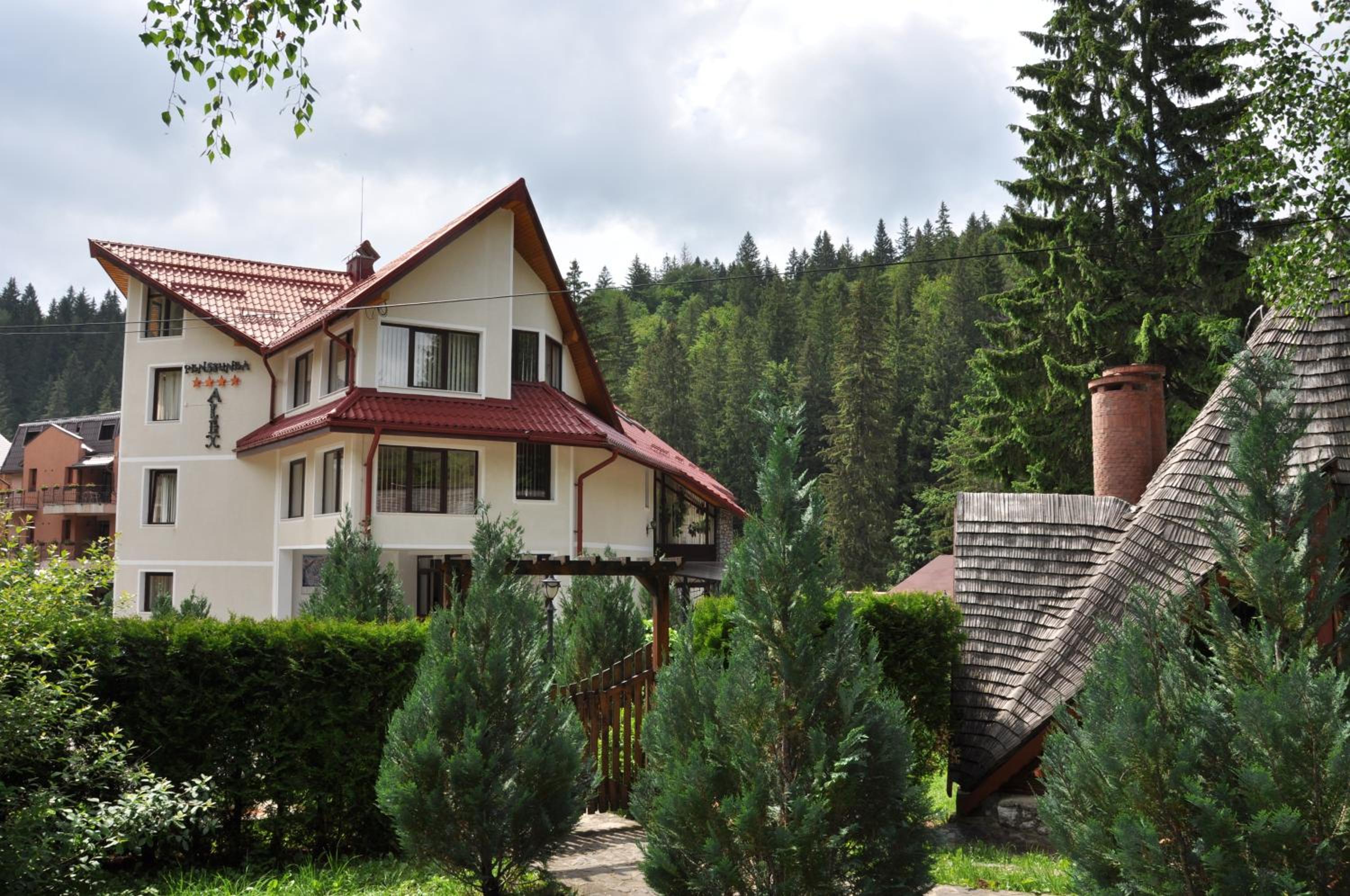 Hotel Pensiunea Sura Dacilor - Alex - Image 1