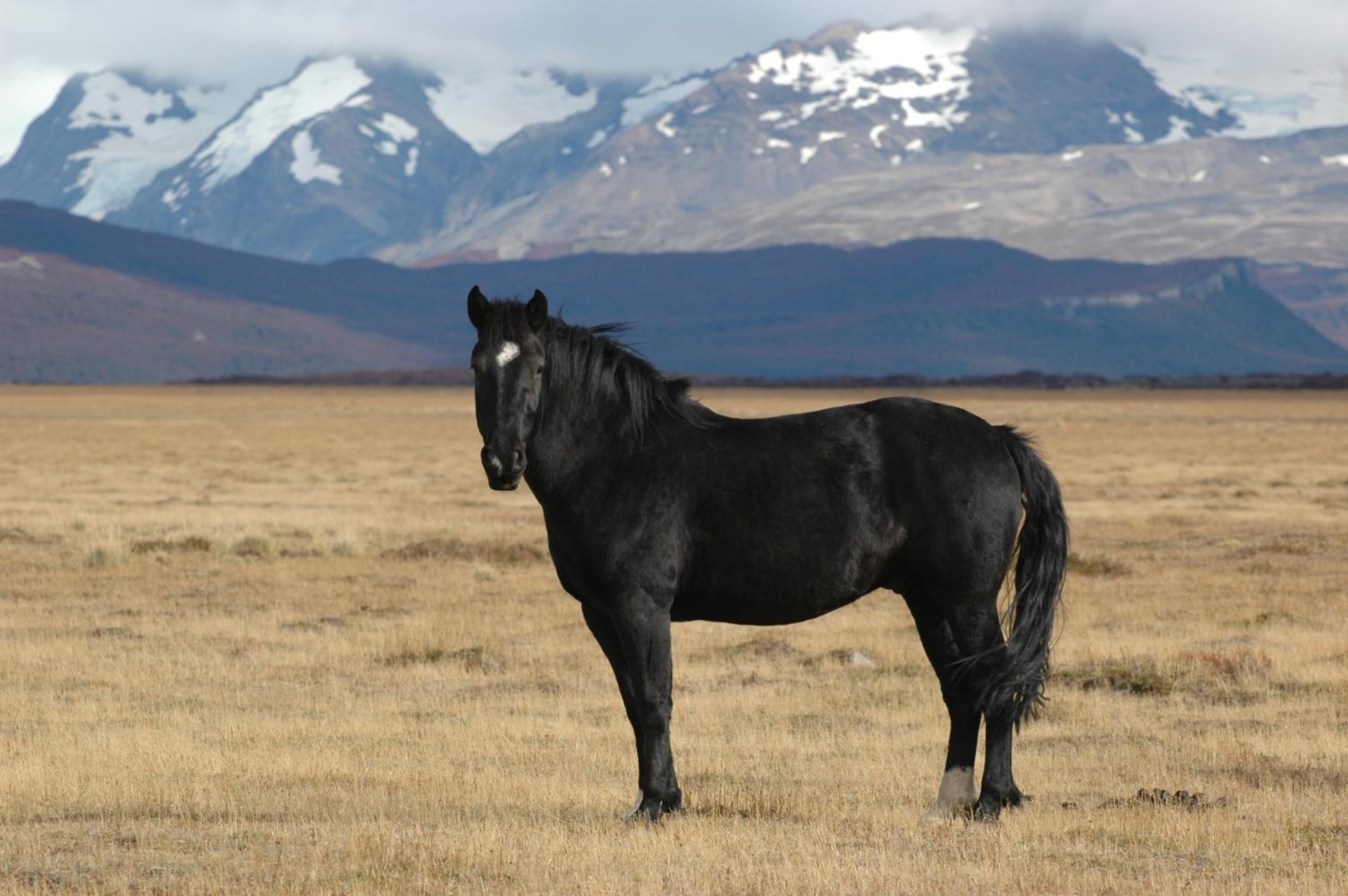 Estancia La Angostura