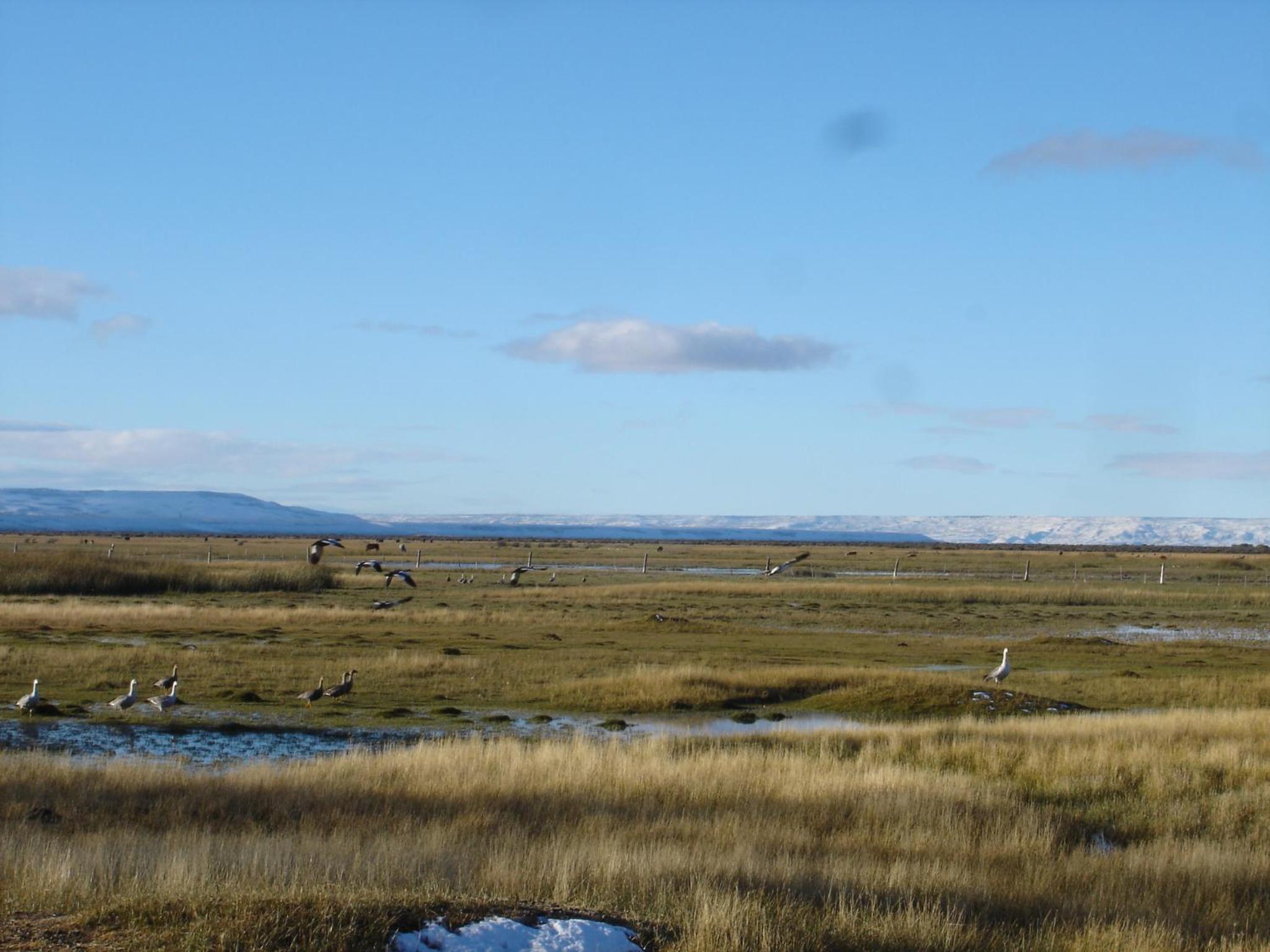 Estancia La Angostura