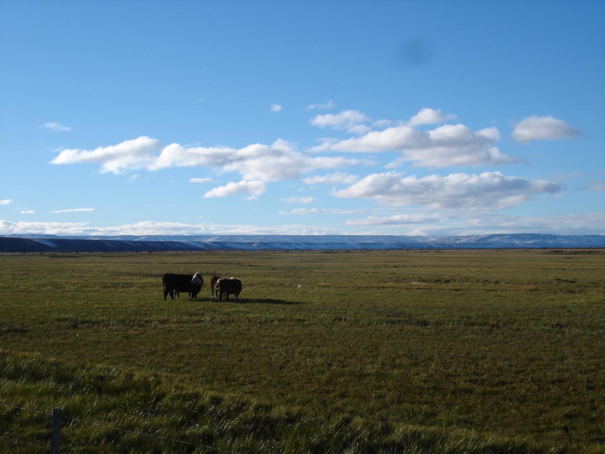 Estancia La Angostura