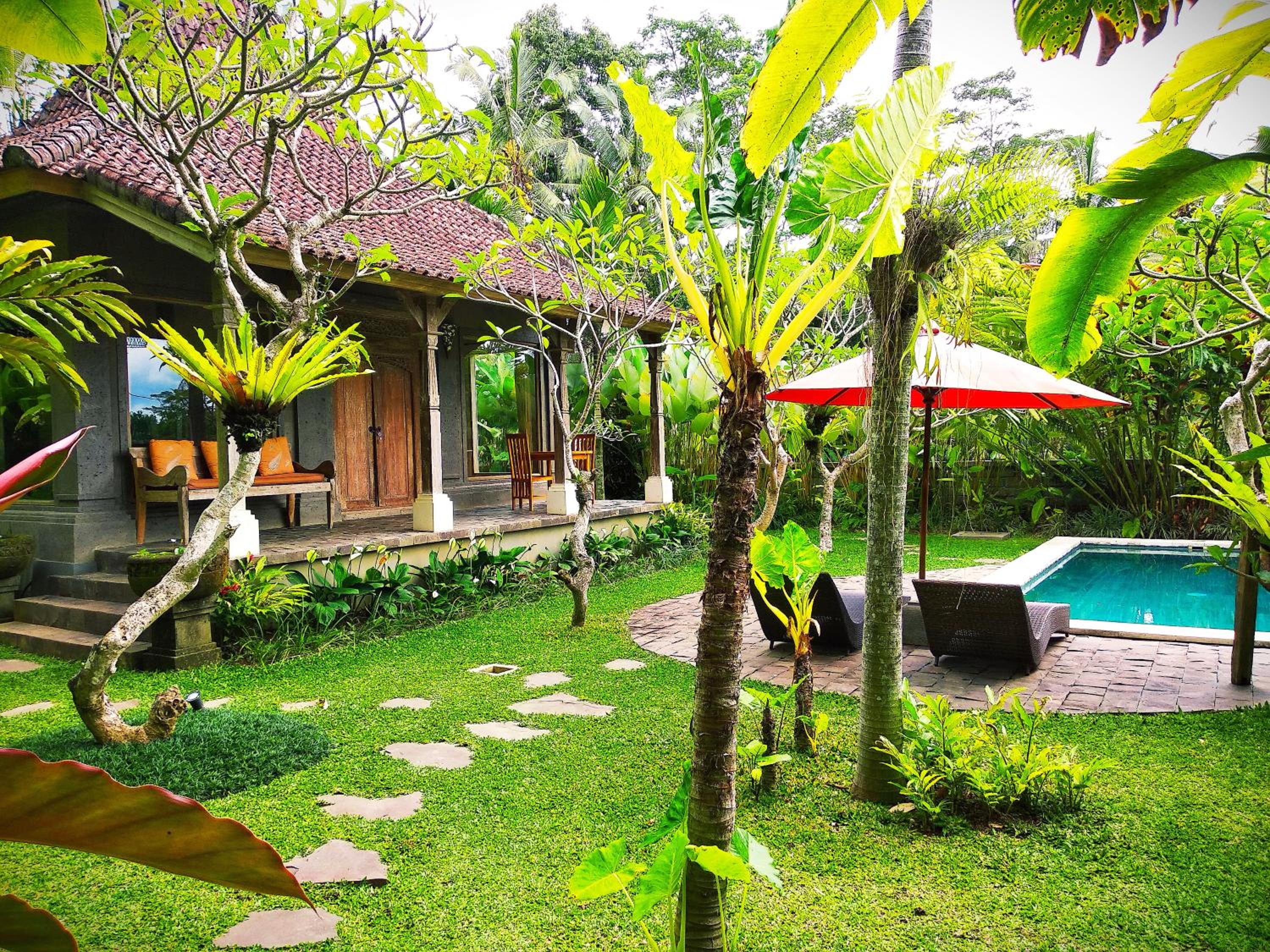 Thani Villa Ubud view 5