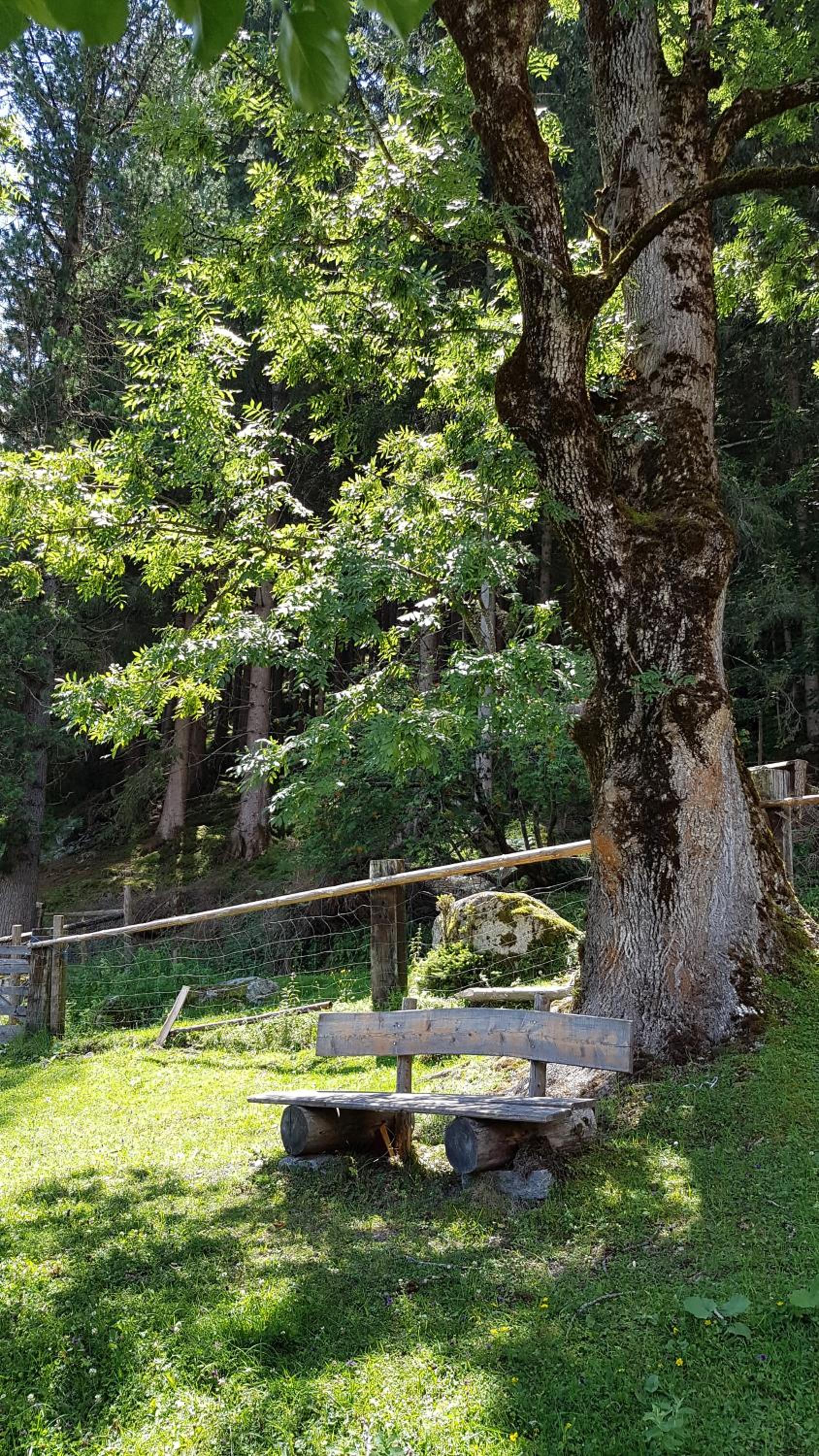 Bauernhof Oberscheffau