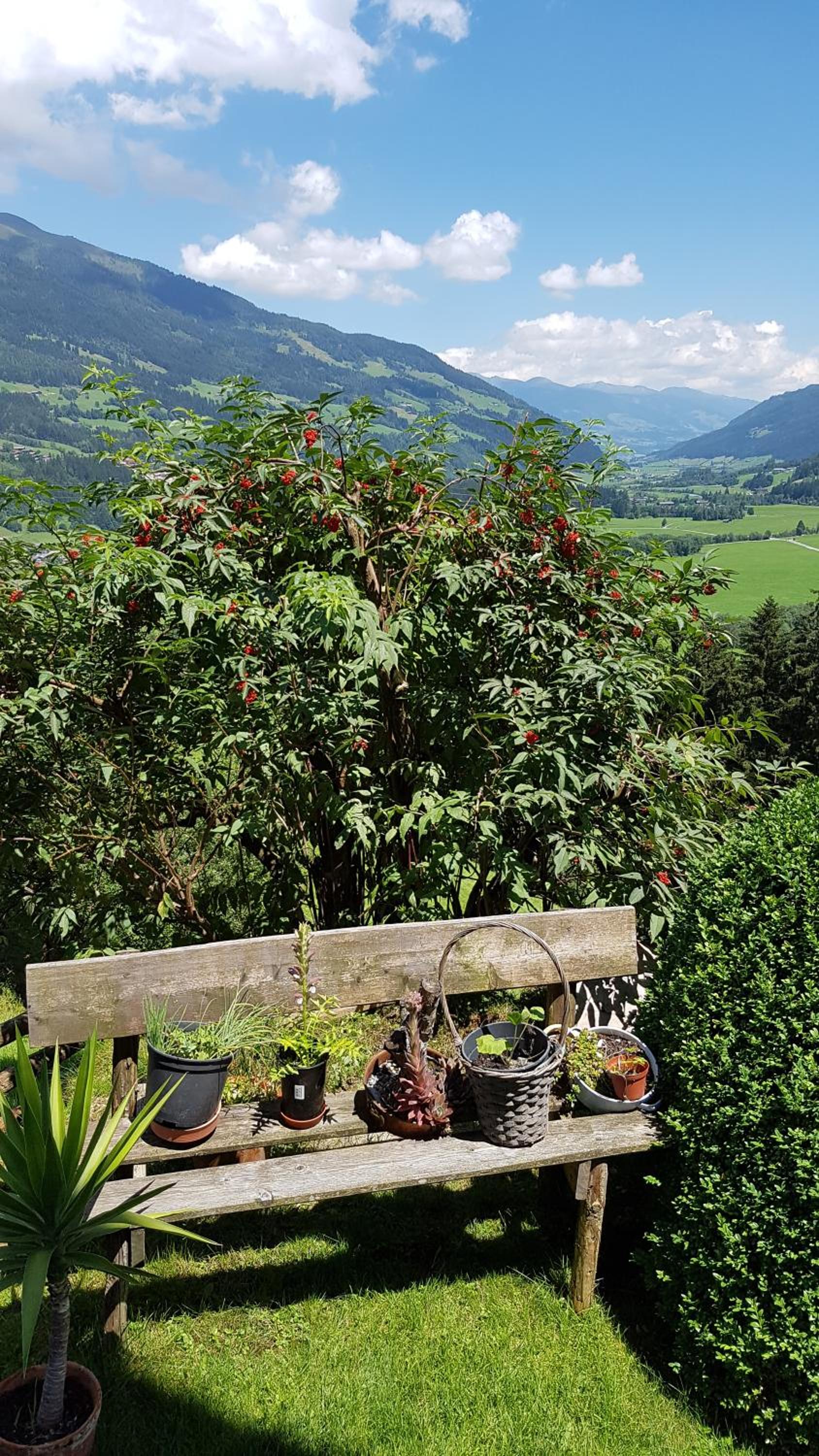Bauernhof Oberscheffau