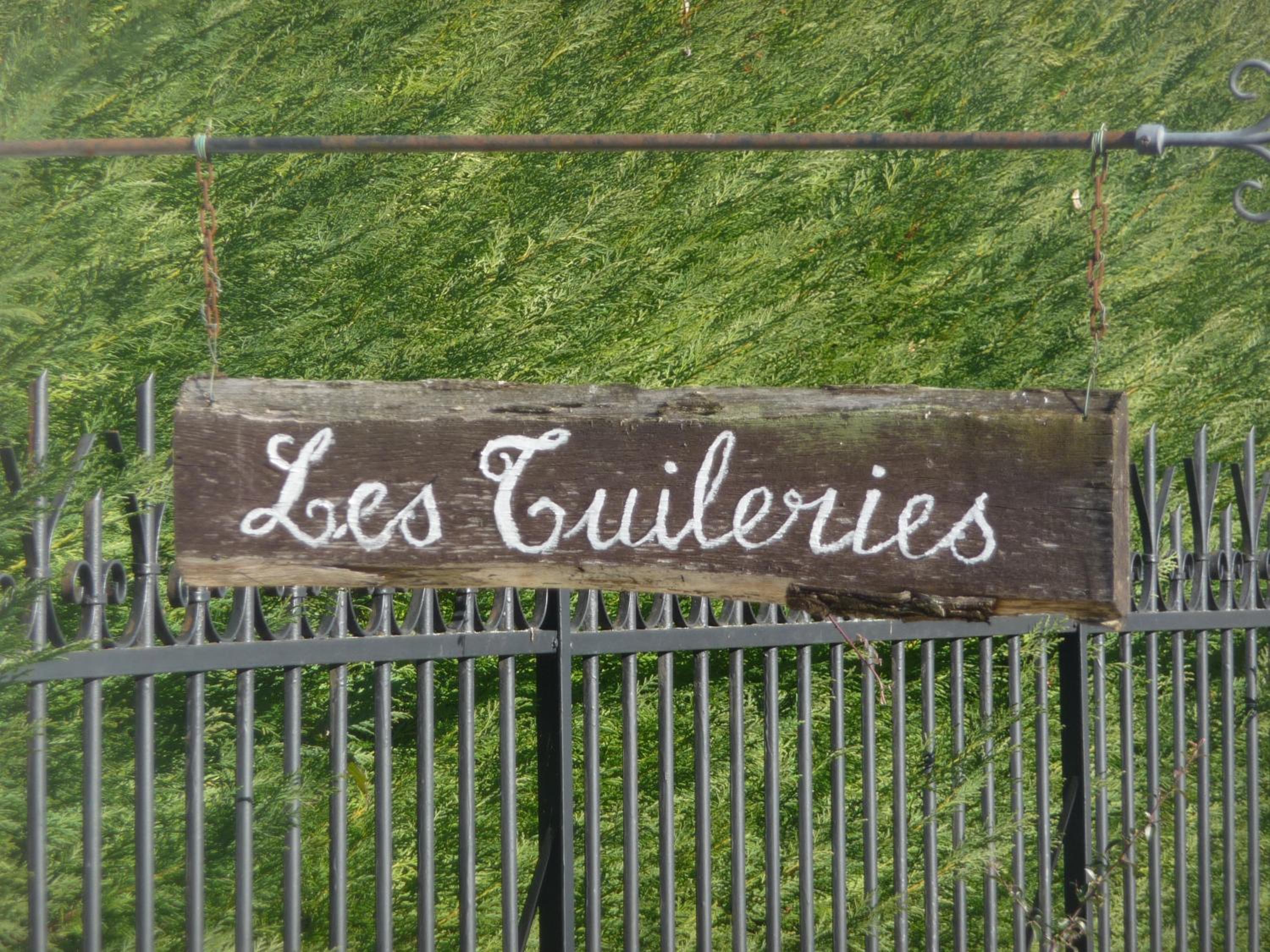 Les Tuileries view 5