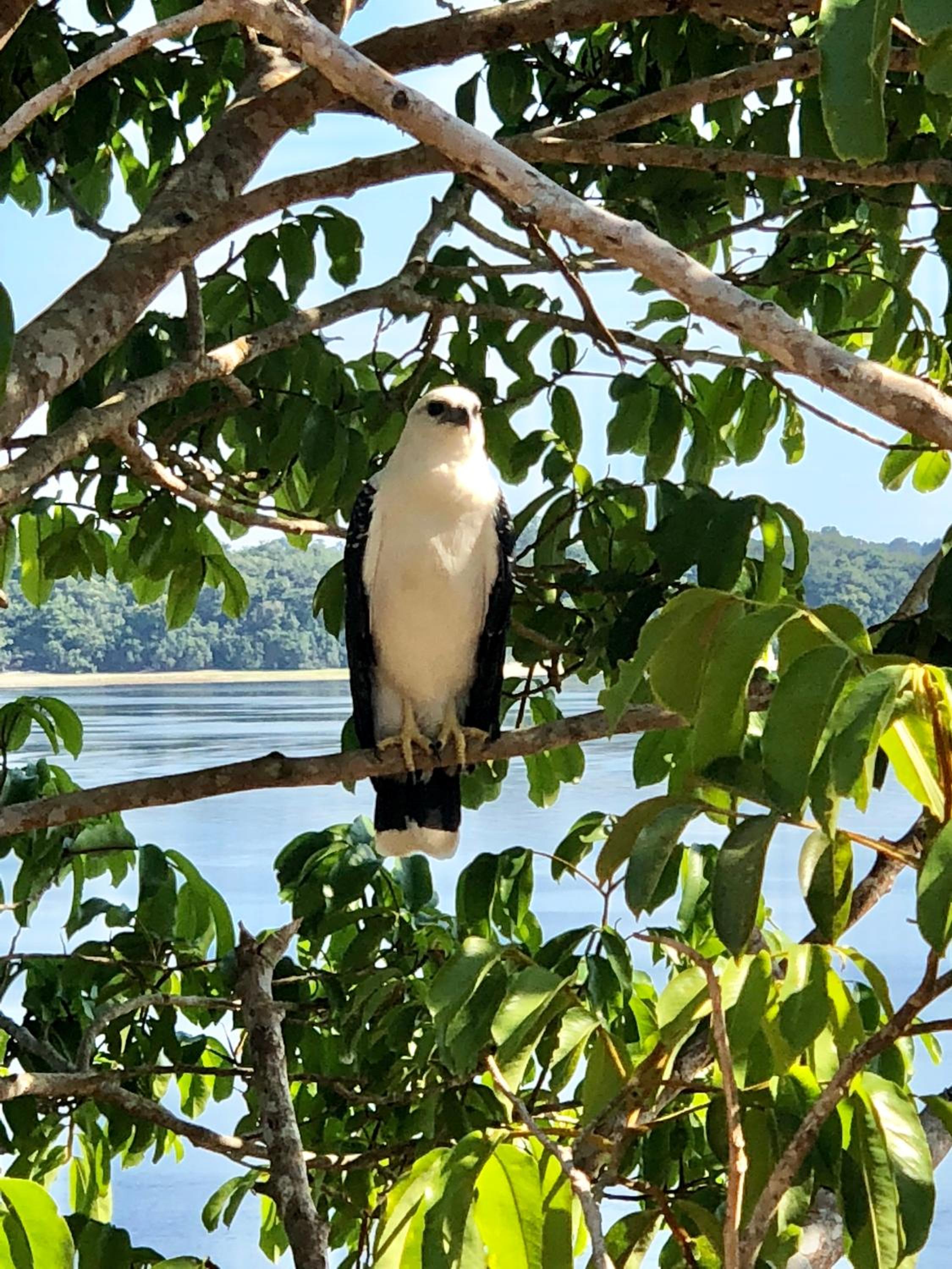 Amazônia ParkSuítes