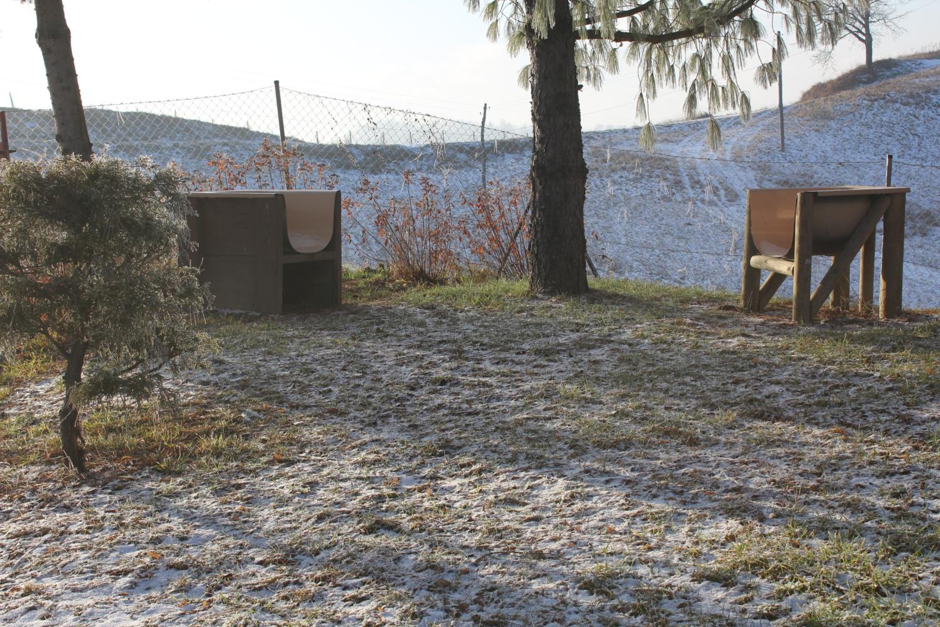 Holiday Home Winzerhaus Eva, photo 16