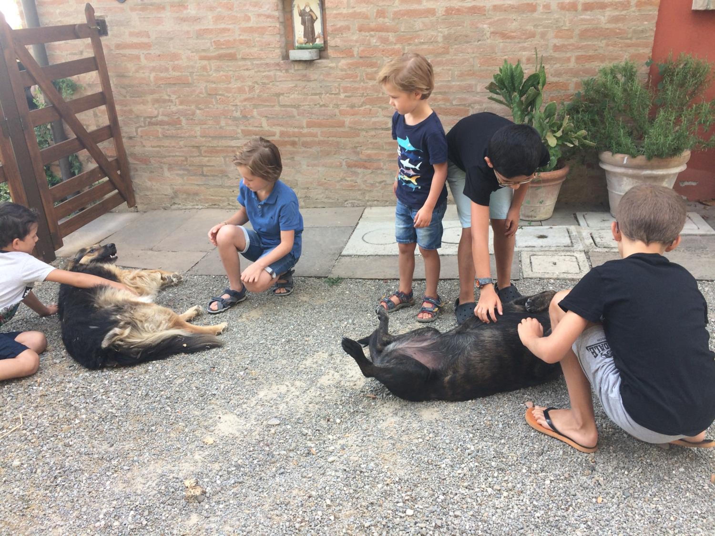 Photo 16